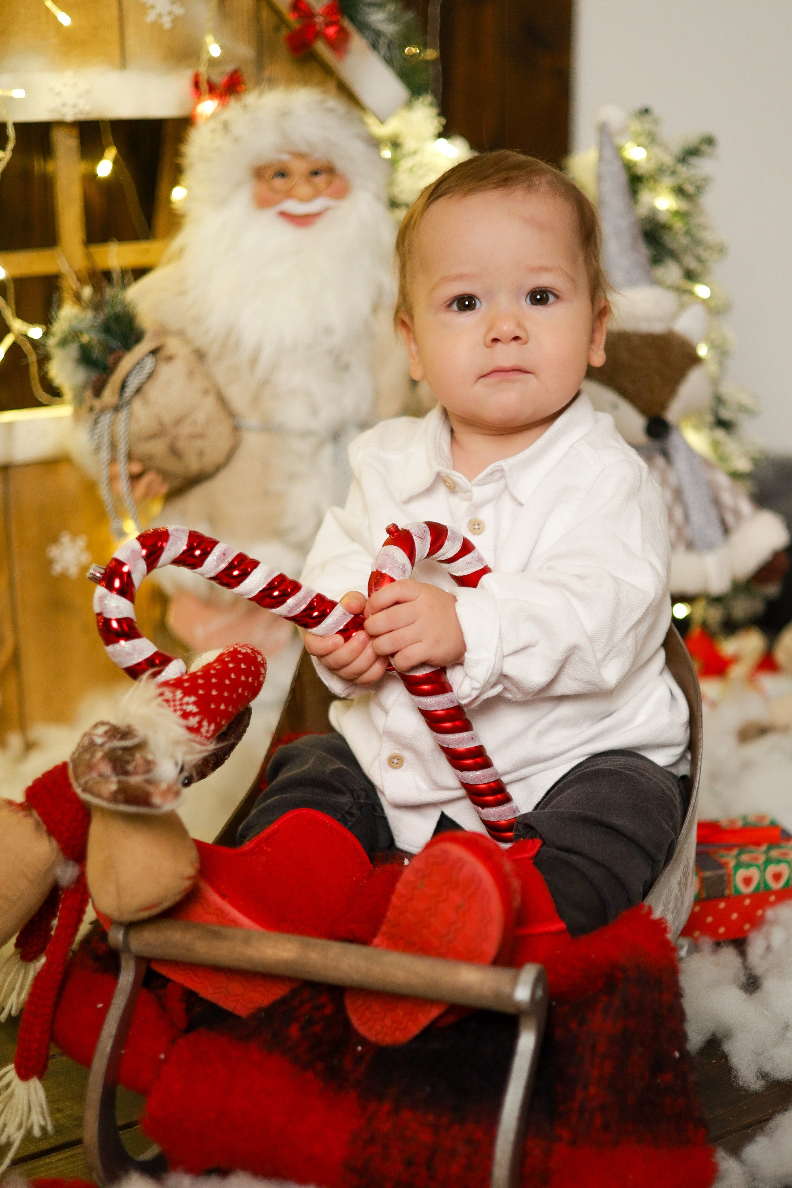 Дружная семья. Ваш семейный фотограф