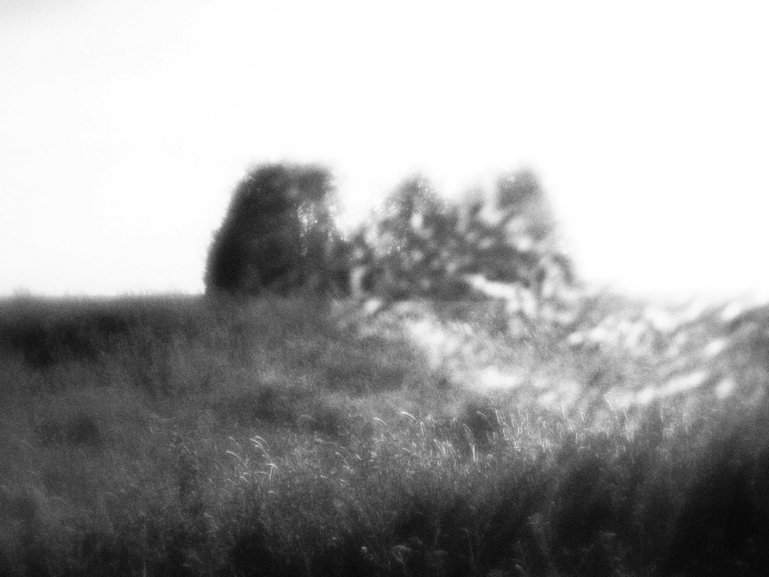 Внутривенные сны (2023)