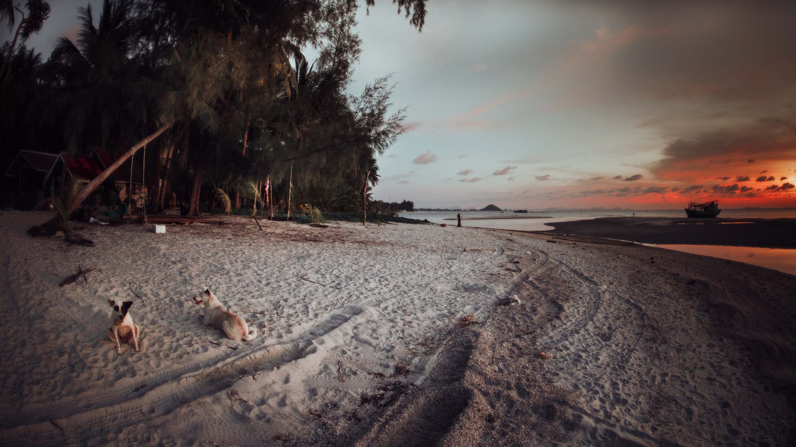 Самуи Собачий остров. Ню Фотограф Александр Касымов Москва, фотосессии, Химки фотограф