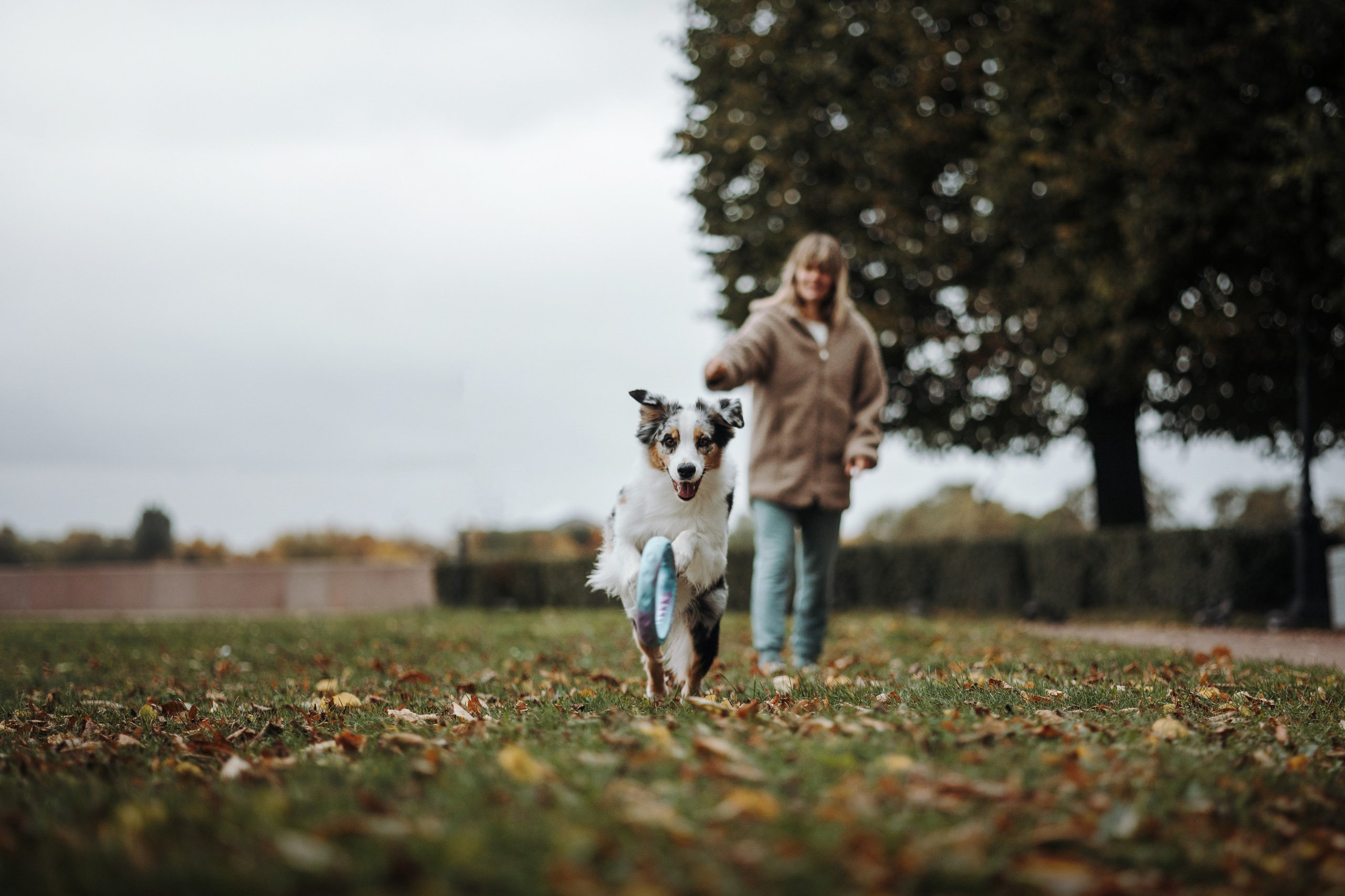 Ирина и Кайса. Фотограф — Анималист | Санкт-Петербург