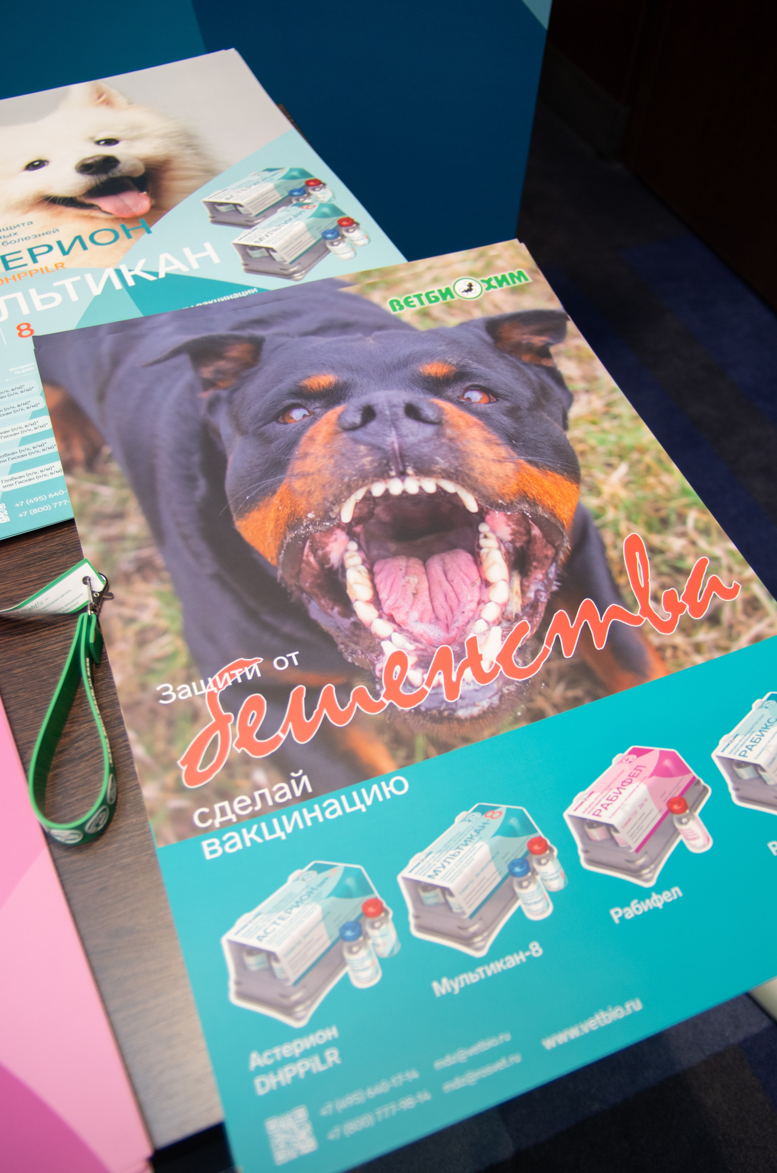 VIII Карельская ветеринарная конференция. Портретный фотограф Денис Милютин