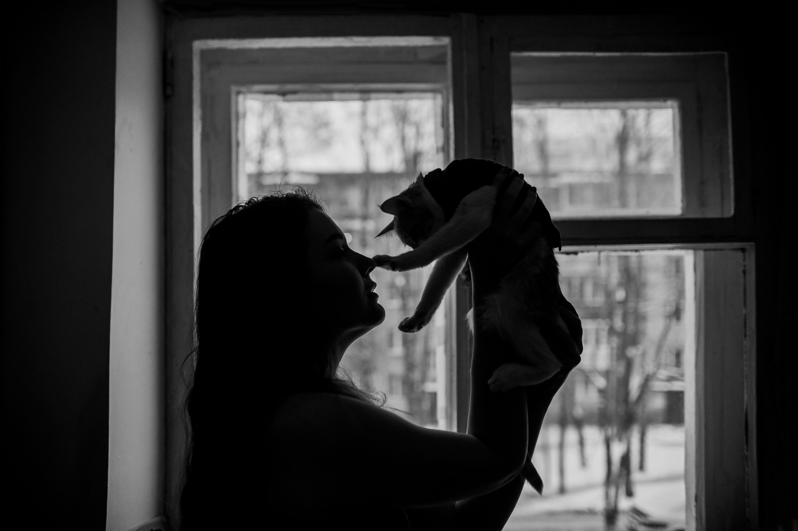 Котовая серия: Настя и Текилла (Королёв, 2022). Анна Пушина, фотограф, Москва, Королев, Пушкино