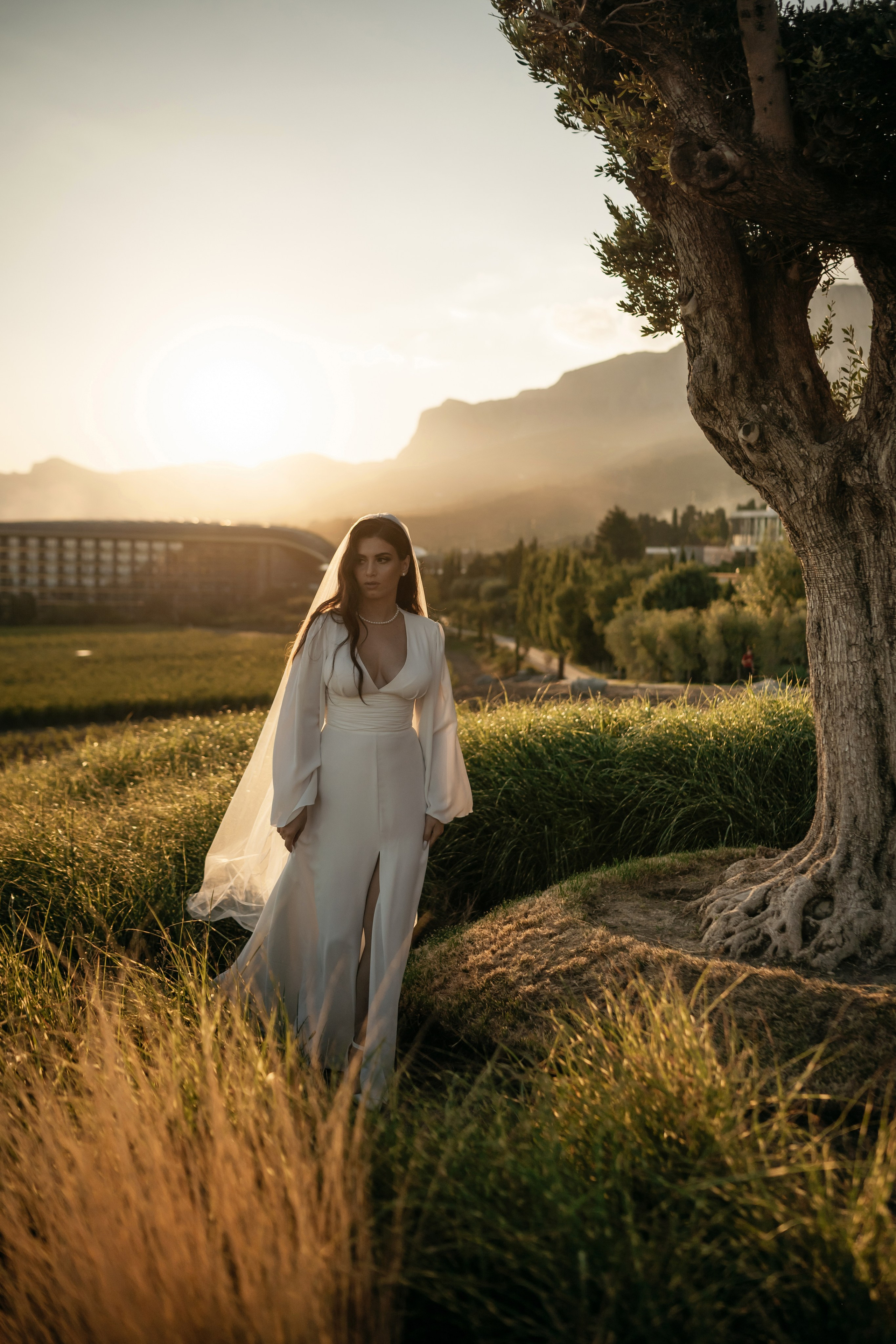 Свадьба в Винном парке в Крыму. Свадебный и семейный фотограф и видеограф, Крым, Москва, Санкт -Петербург
