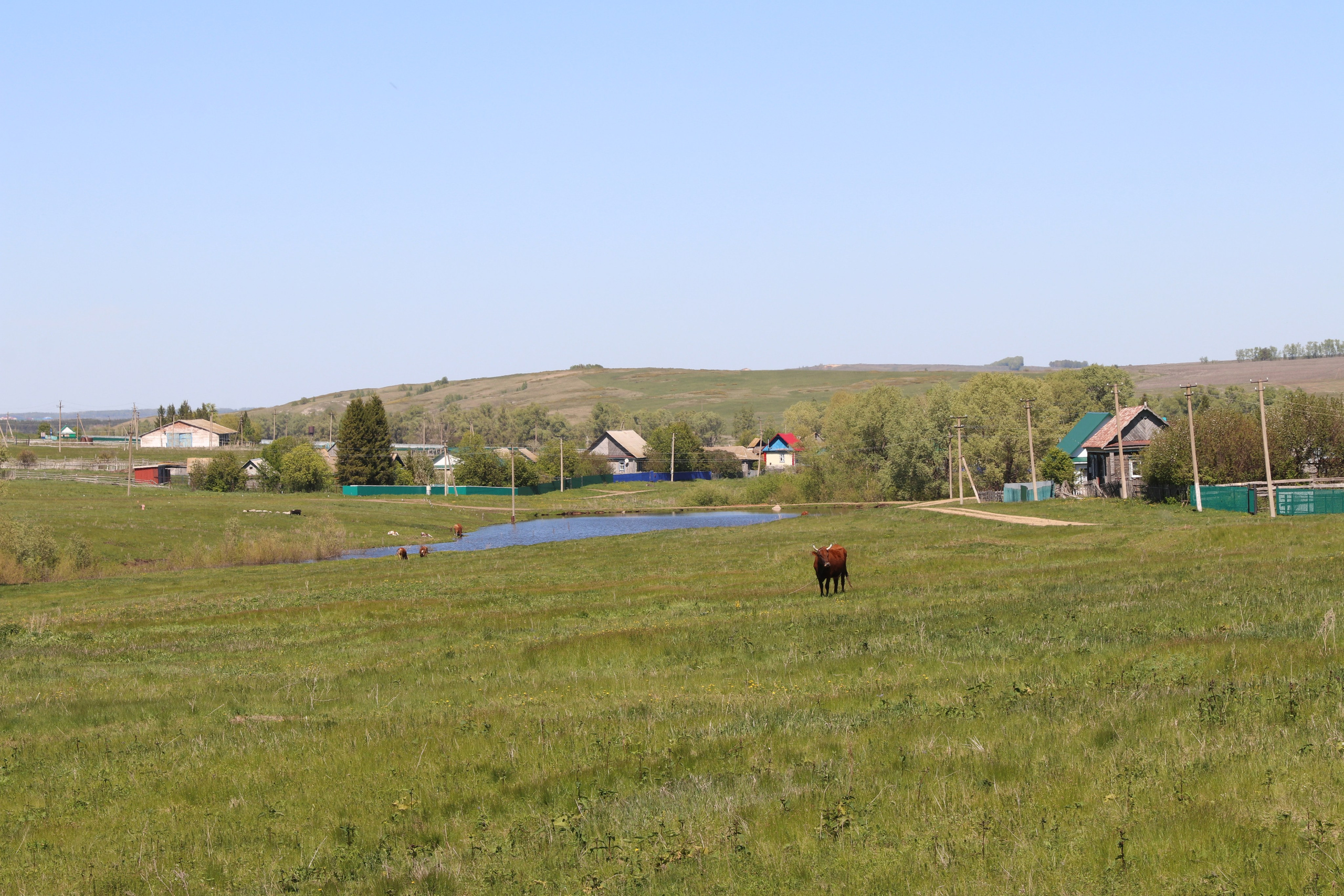 Велопоход Уфа — Мелеуз. Май 2024. Путешественник-фотограф из Санкт-Петербурга Татьяна Свистулина