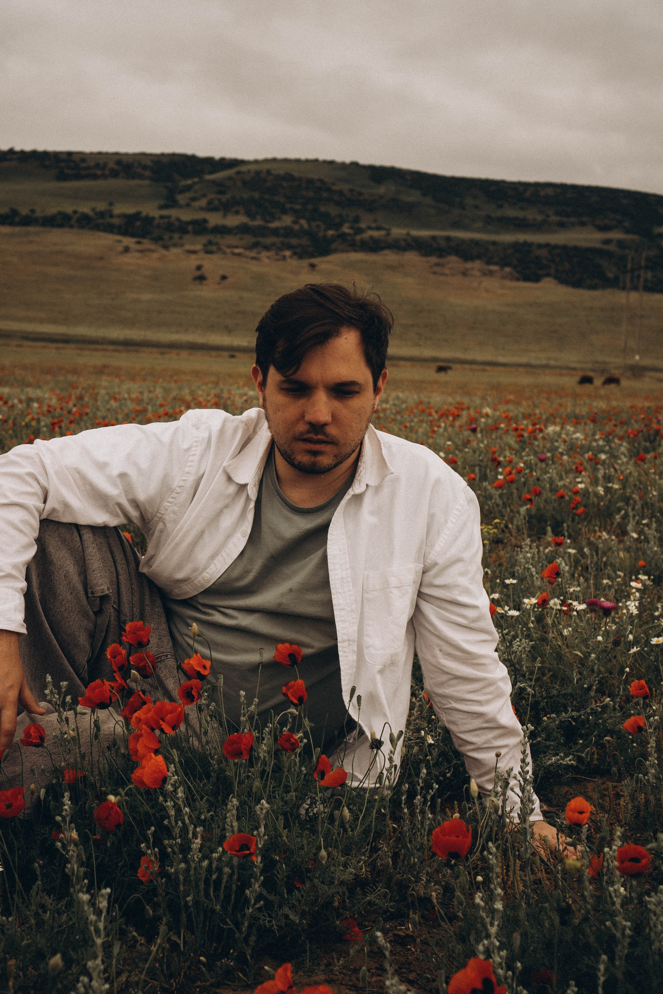 Маки. Профессиональный фотограф, Санкт-Петербург — Виктория Богомолова