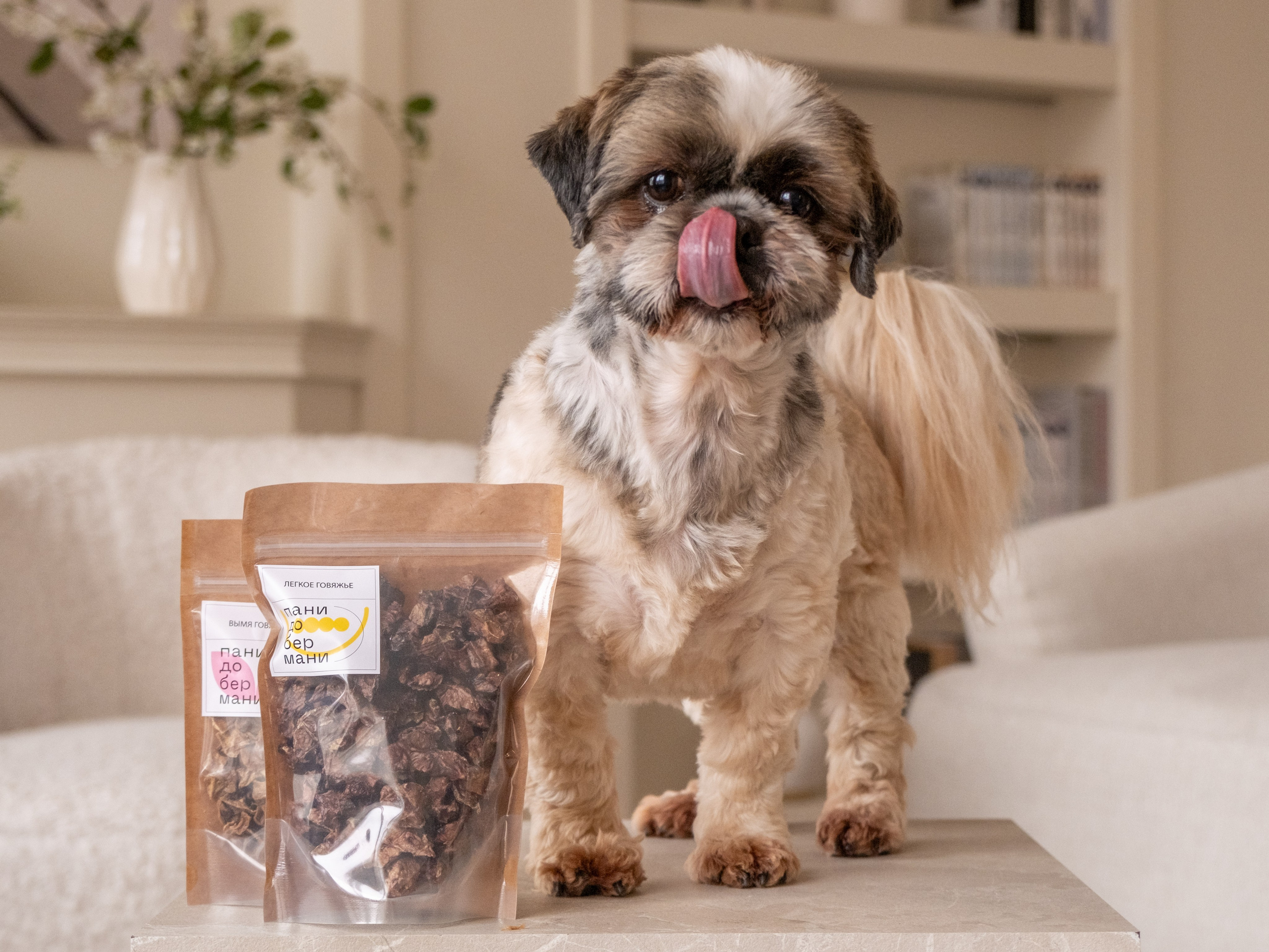 Съёмка для рекламной кампании лакомств для собак (для Григория)!. Зоофотограф, фотограф животных в Москве и области Дина Дамоцева