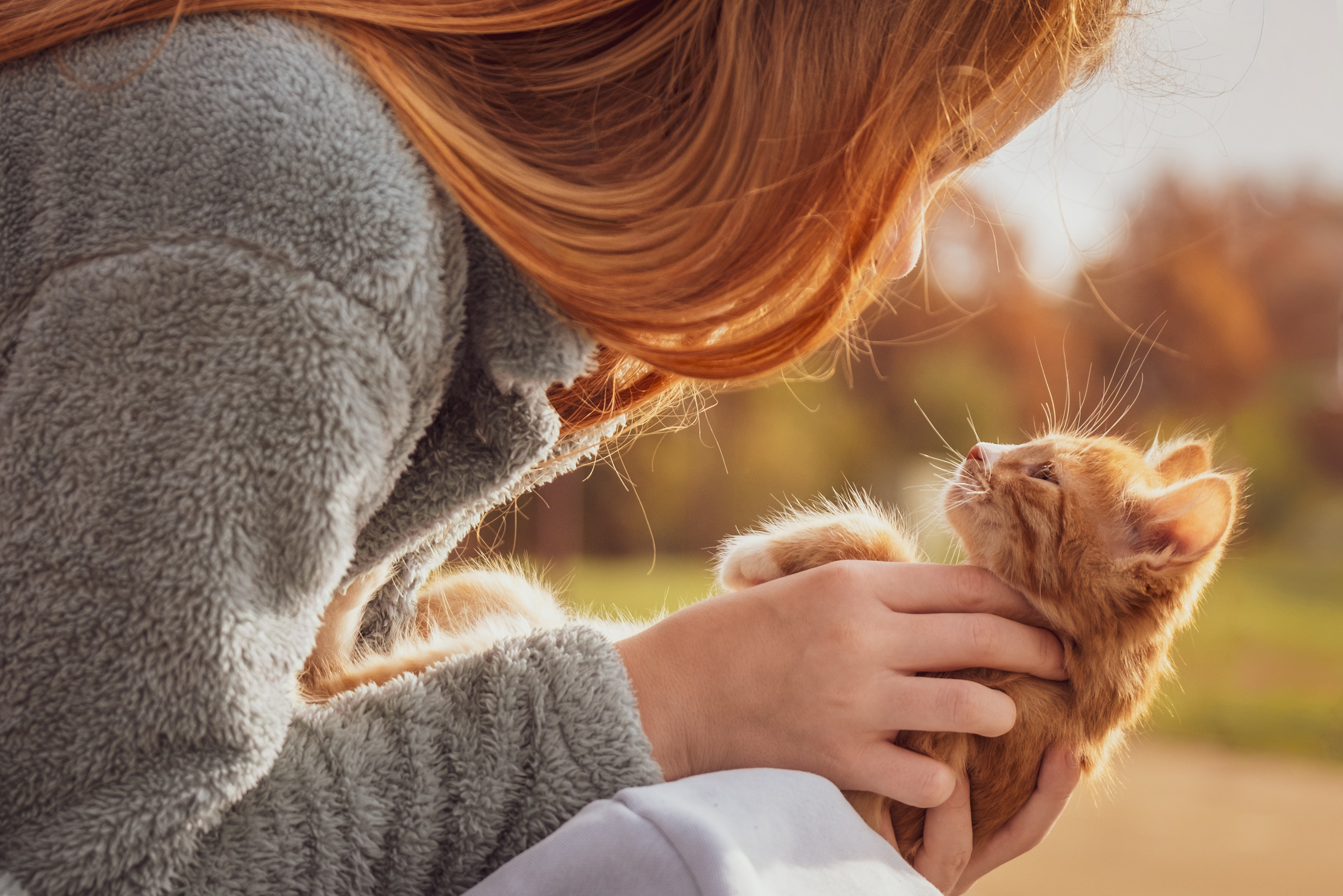 Зоофотограф, фотограф животных в Москве и области Дина Дамоцева