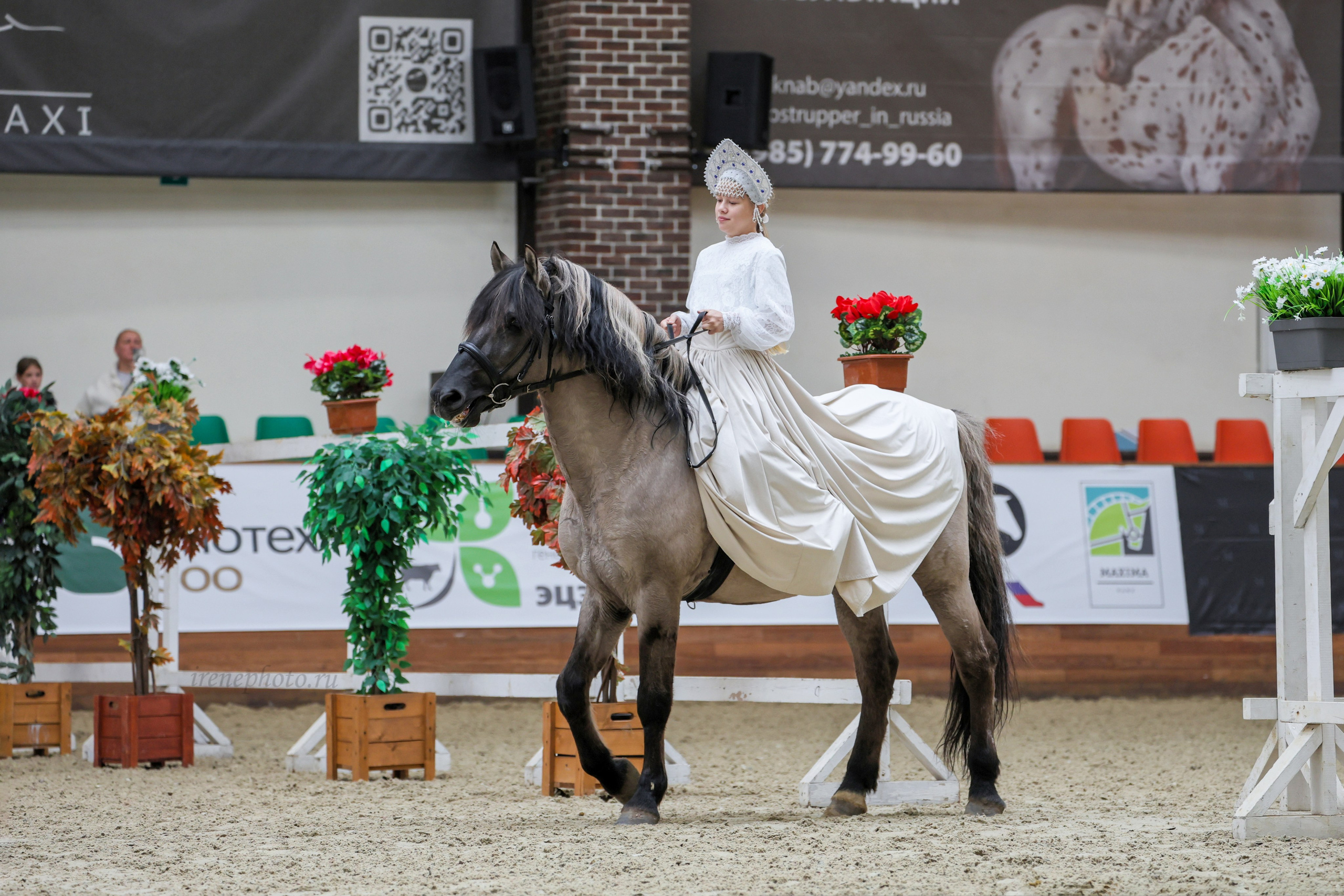 Конная Россия 2024. Irenephoto.ru