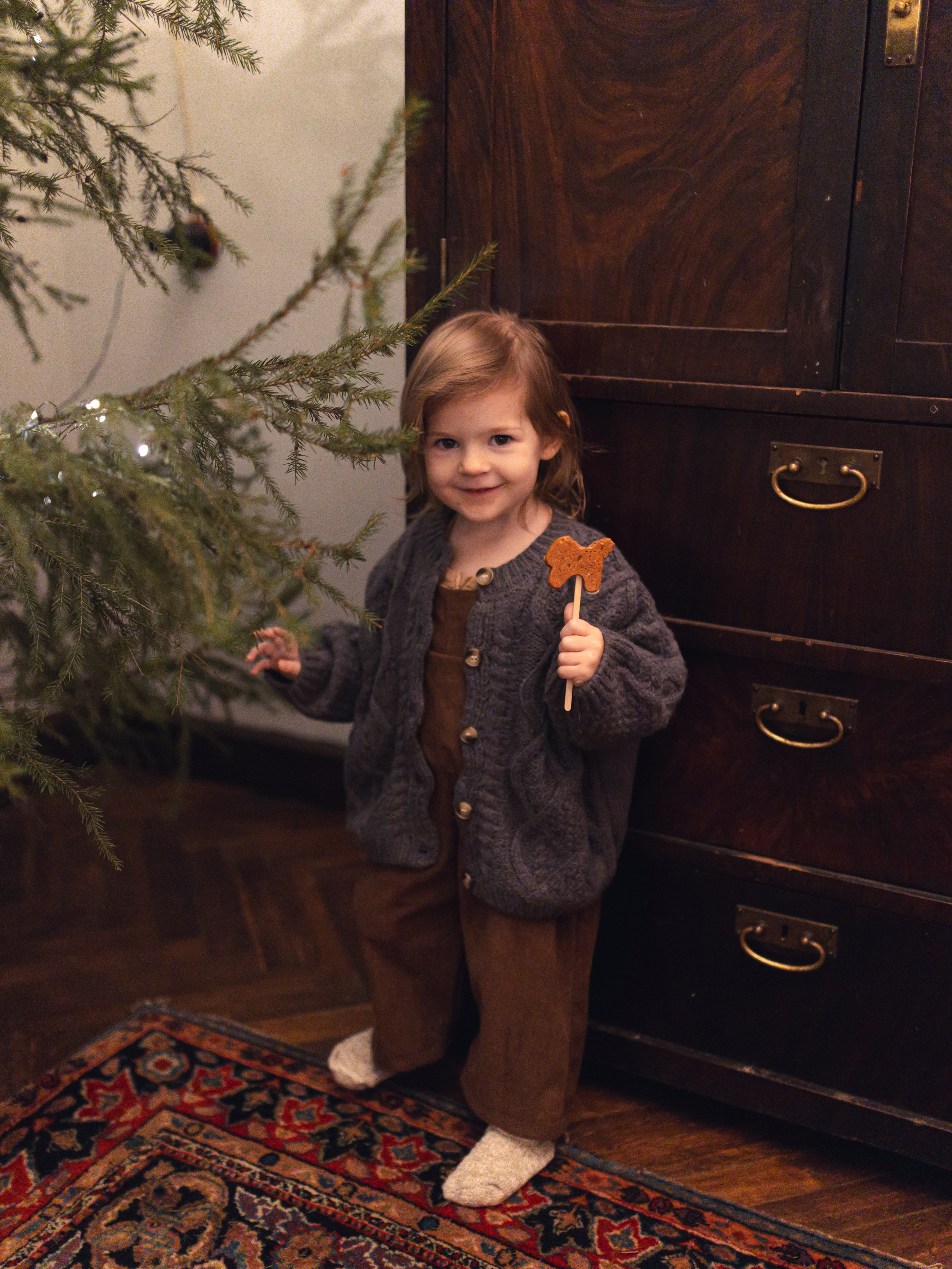 Новогодняя история. Фотограф СПБ Засорина Юлия