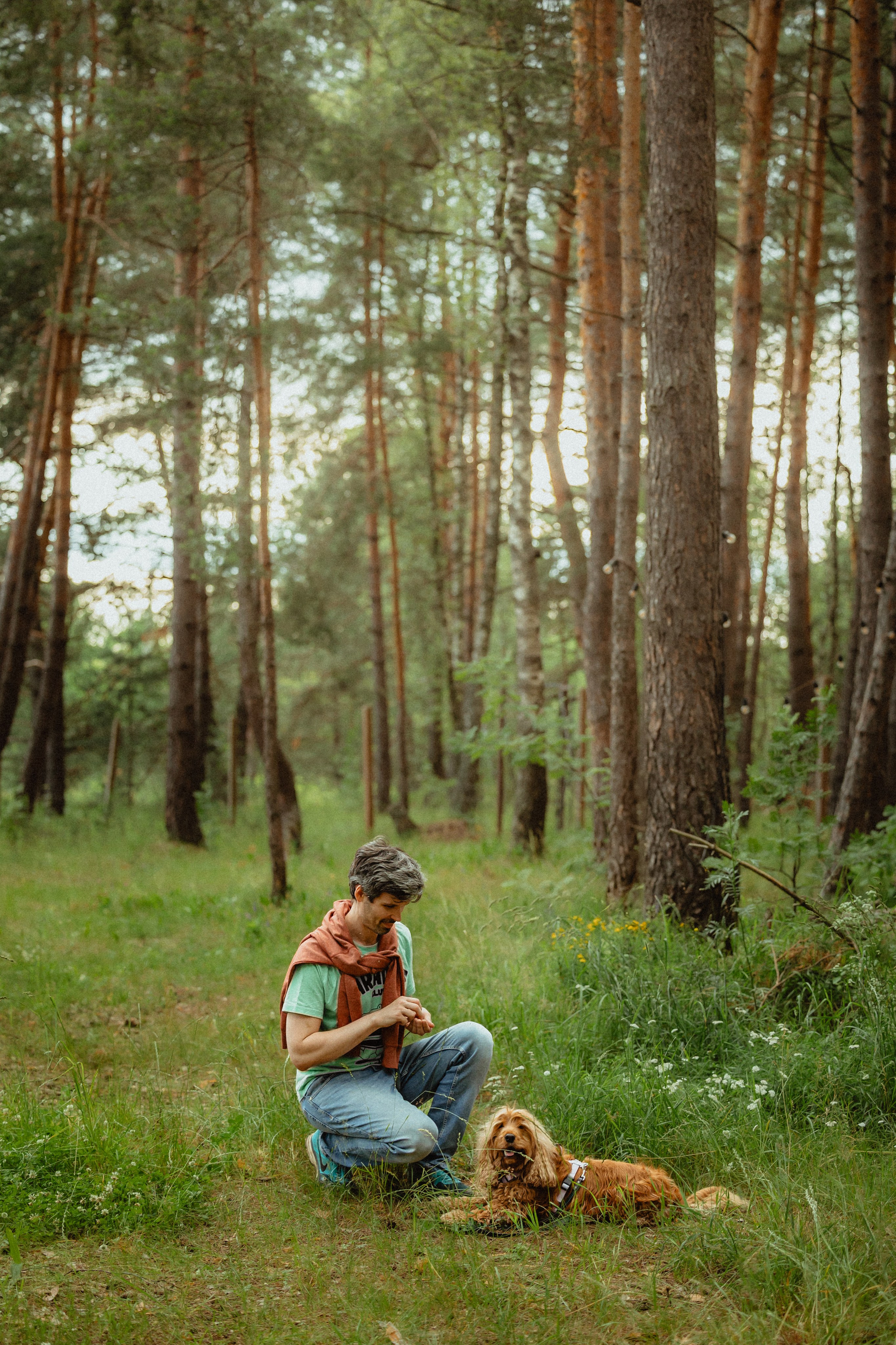 Выездной дог-тренинг от школы «Шерсть имею»