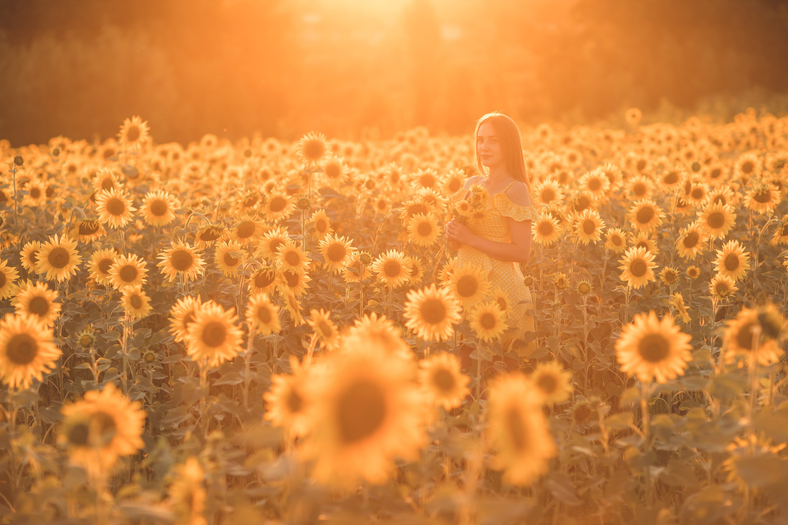 Подсолнухи. Семейный и детский фотограф Краснодар Валерия Власенко