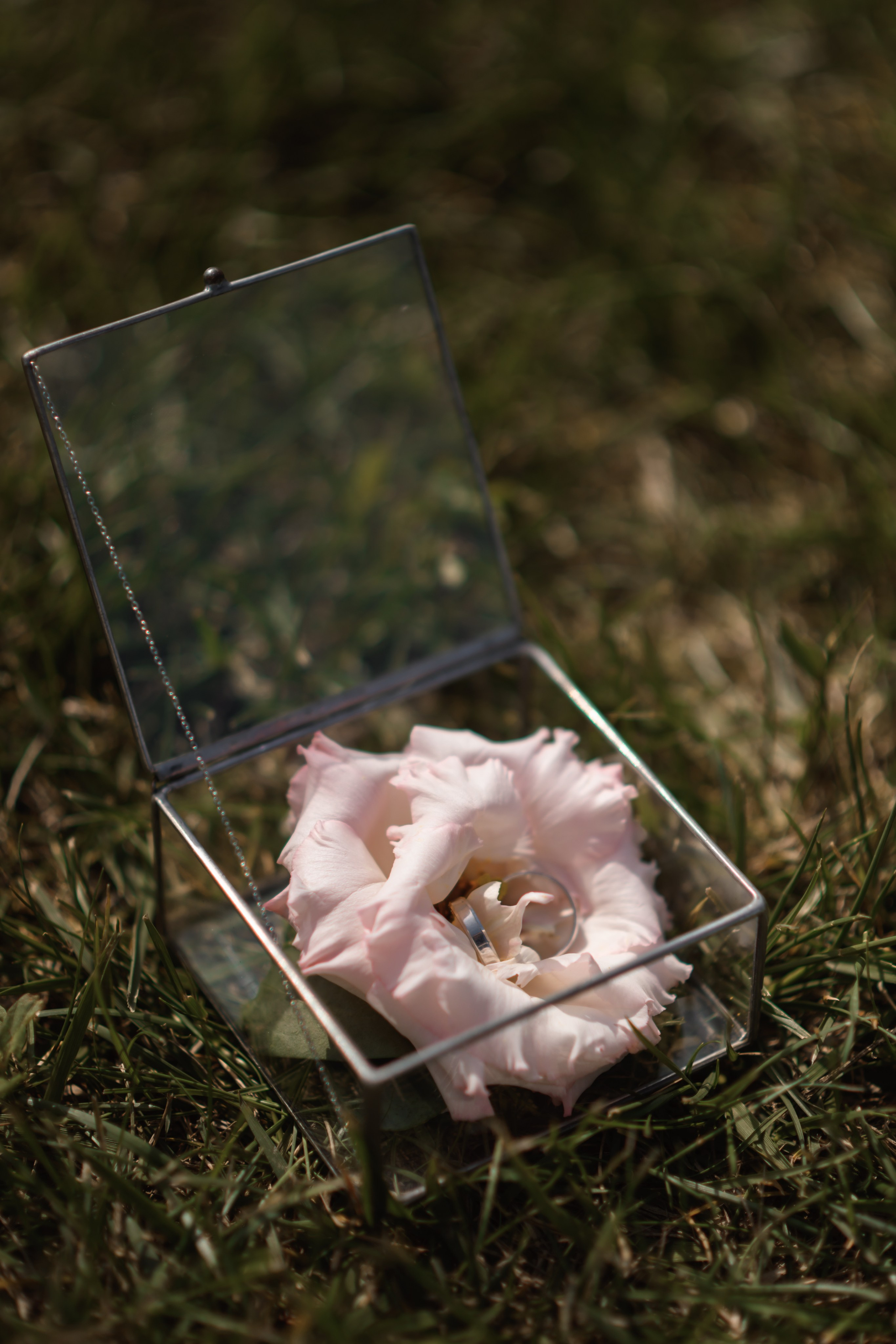 I & L. Свадебный фотограф в г. Астрахань. Так же выезжаю в другие города