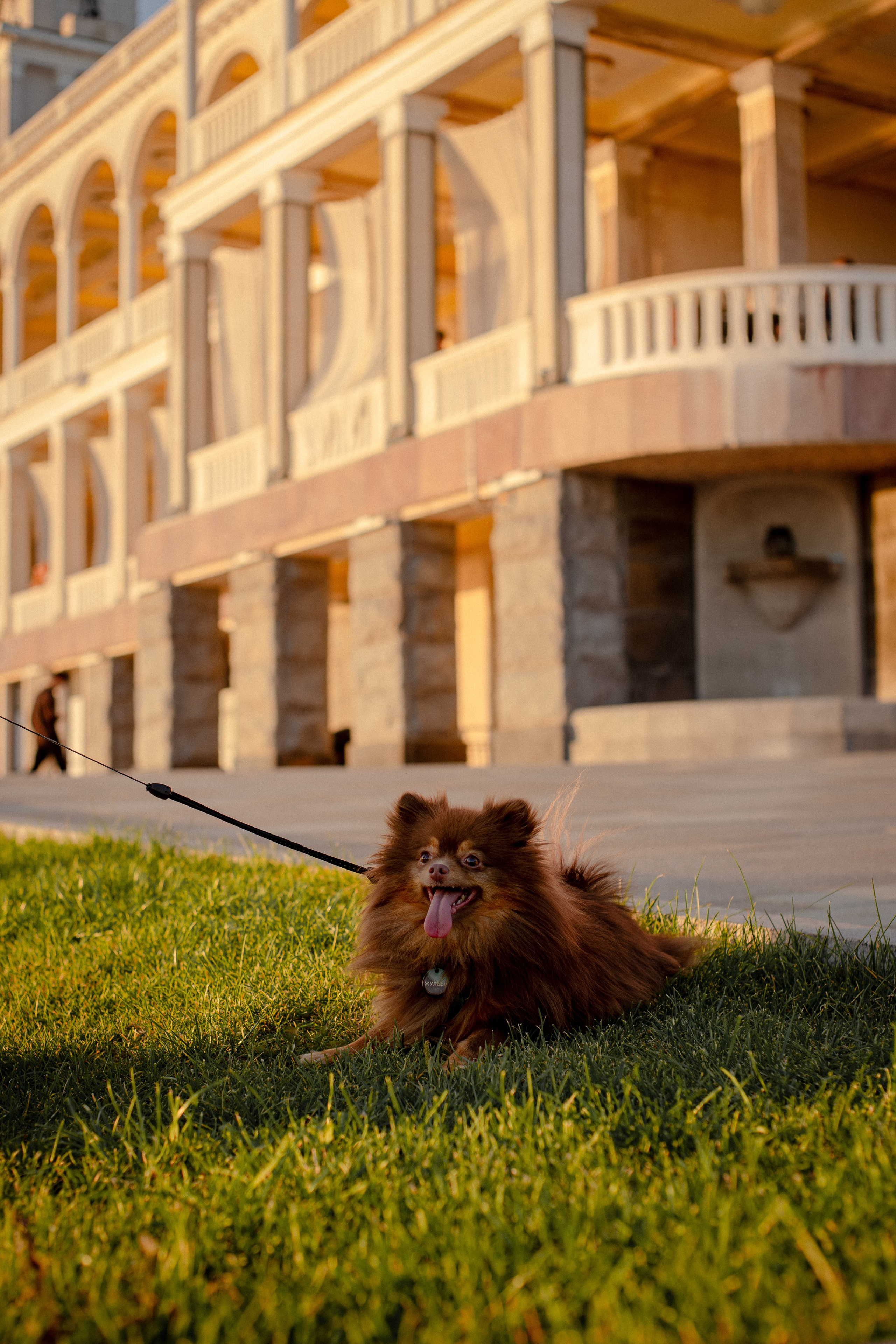 Настя и Жульен. Фотограф-анималист Мария Баркевич | Москва