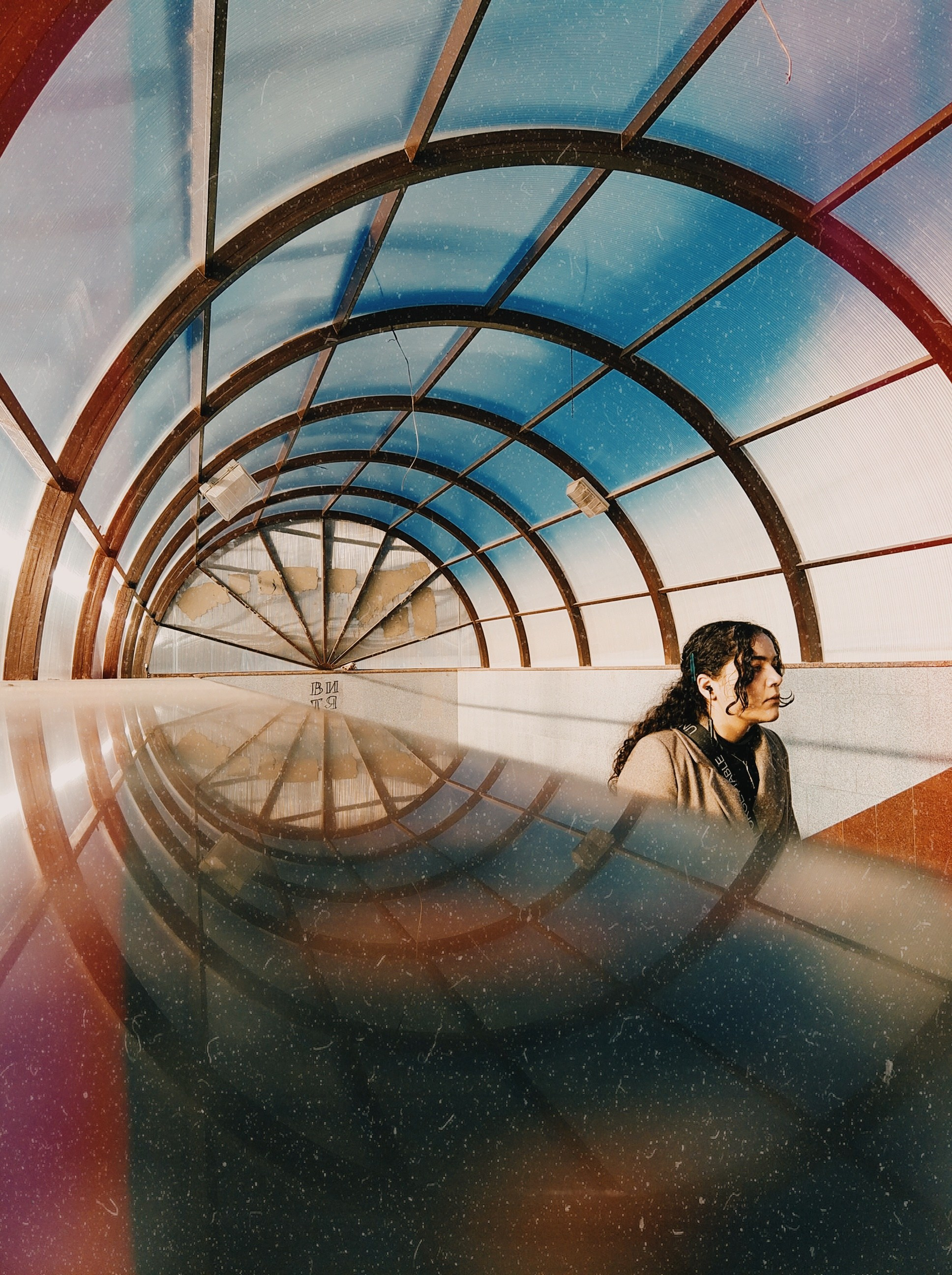 Намобилкус тульский. Репортажный фотограф Алексей Пирязев