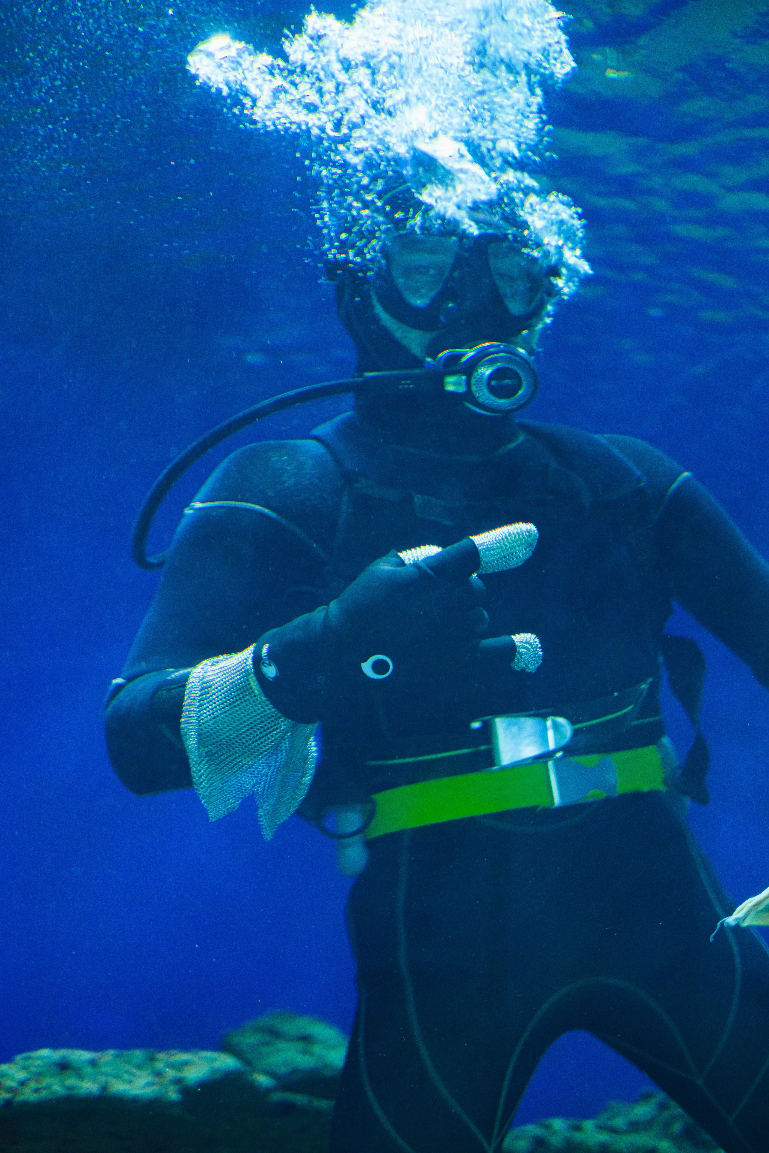 Океанариум. Фотограф Благовещенска Яна