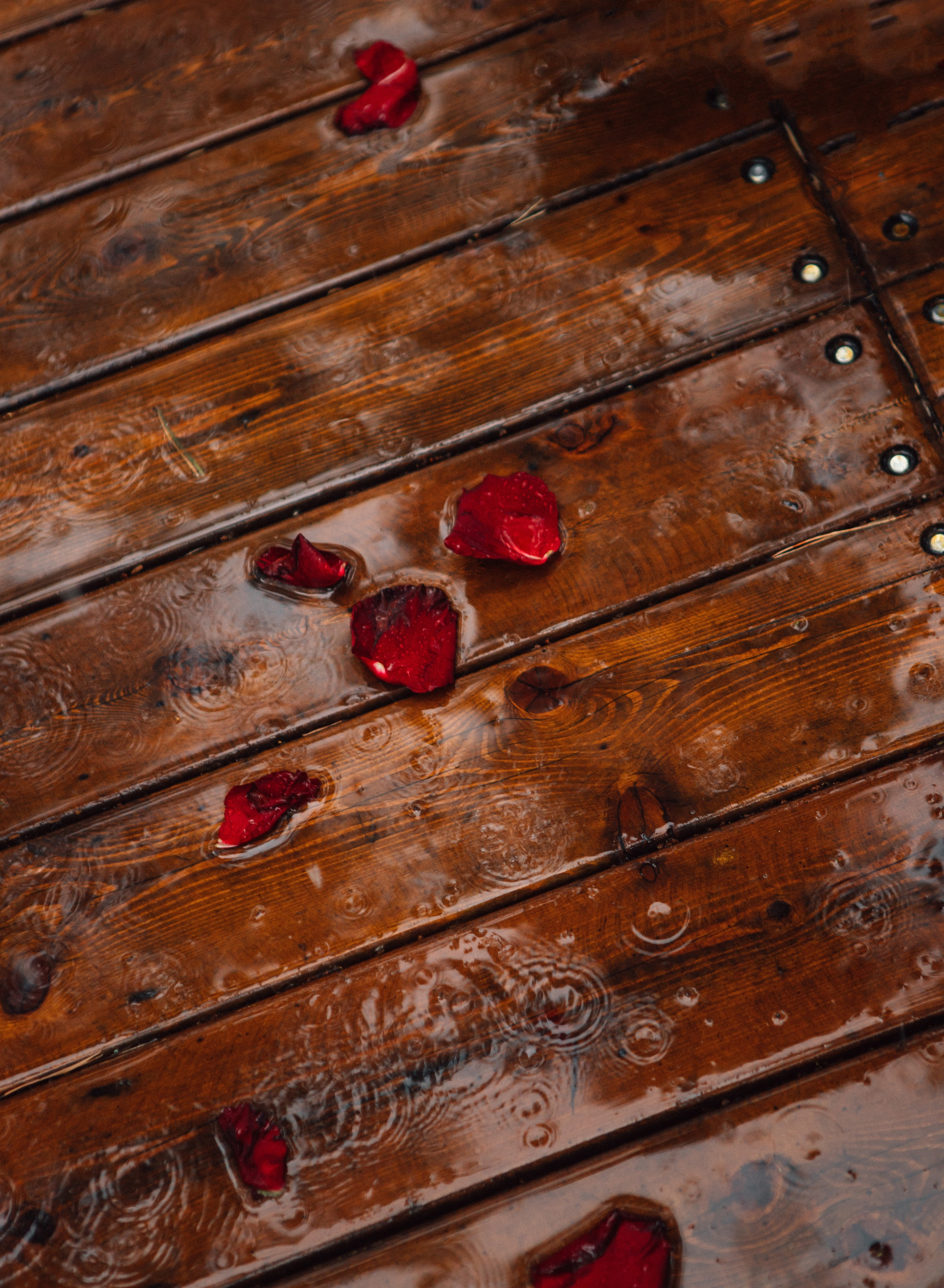 Свадебная выездная церемония. Главная