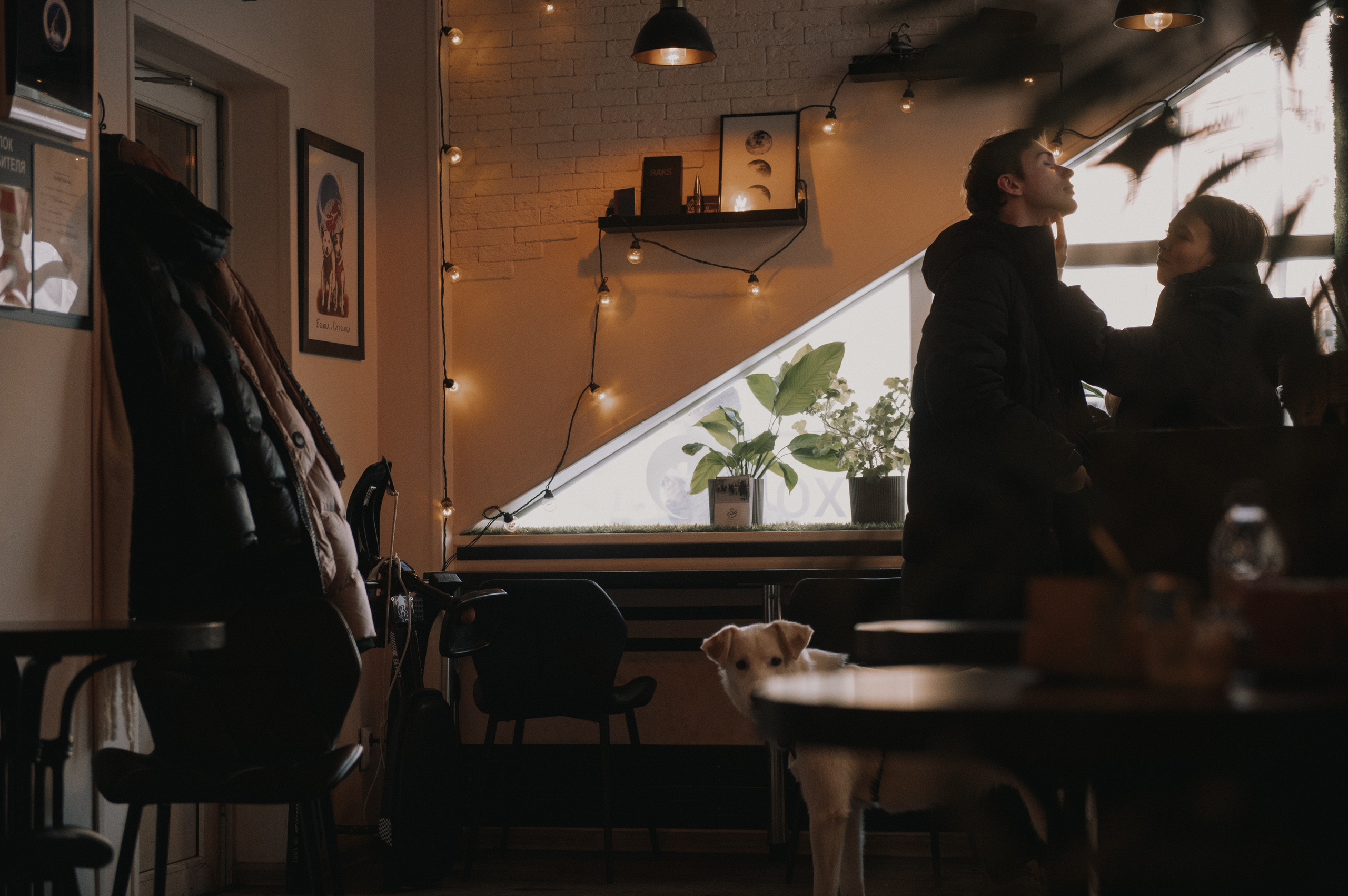 Настя, Артем и Умка (Королев, 2023). Анна Пушина, фотограф, Москва, Королев, Пушкино