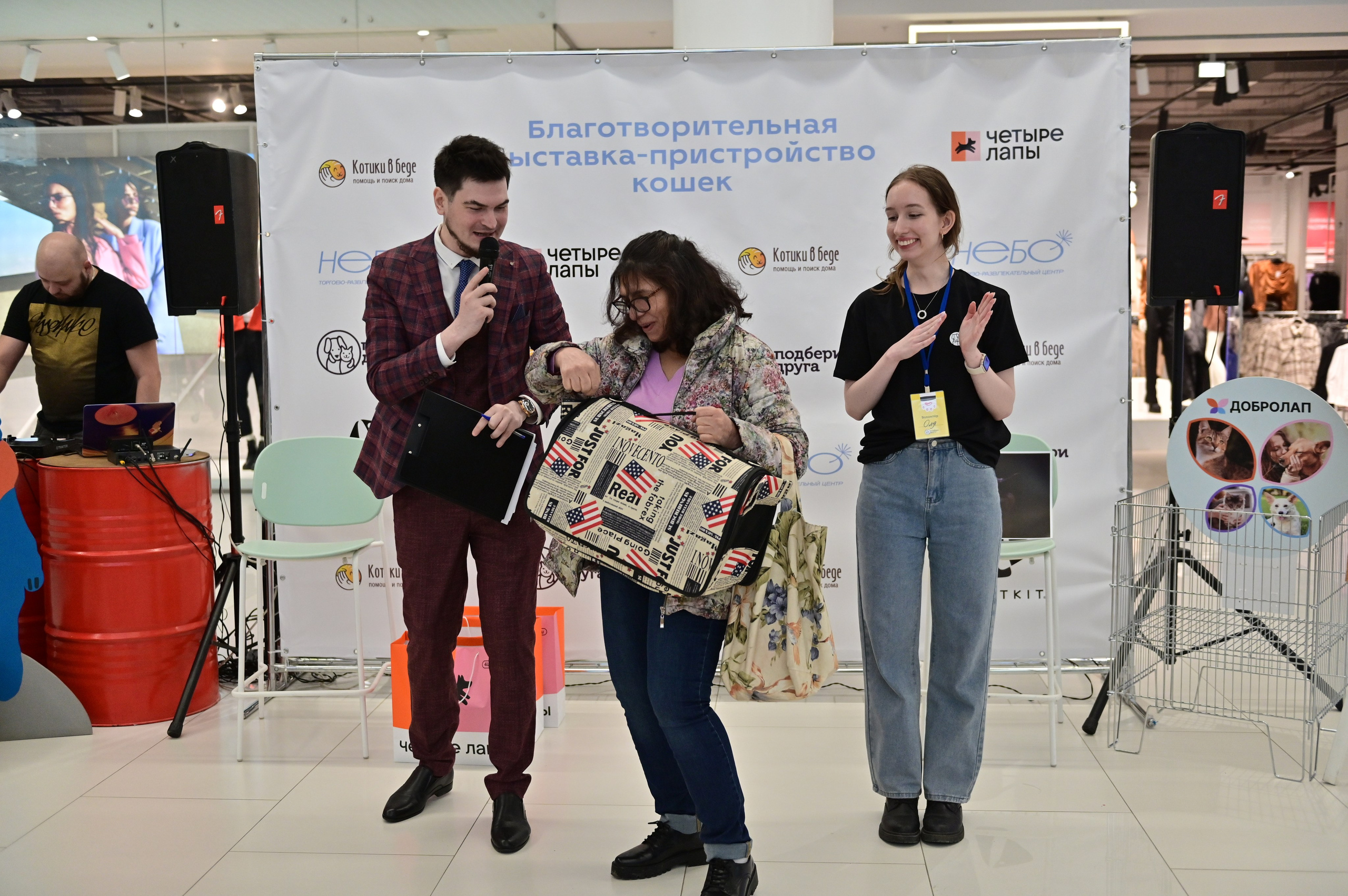 Выставка пристройство: приют «Подбери друга». Анна Пушина, фотограф, Москва, Королев, Пушкино