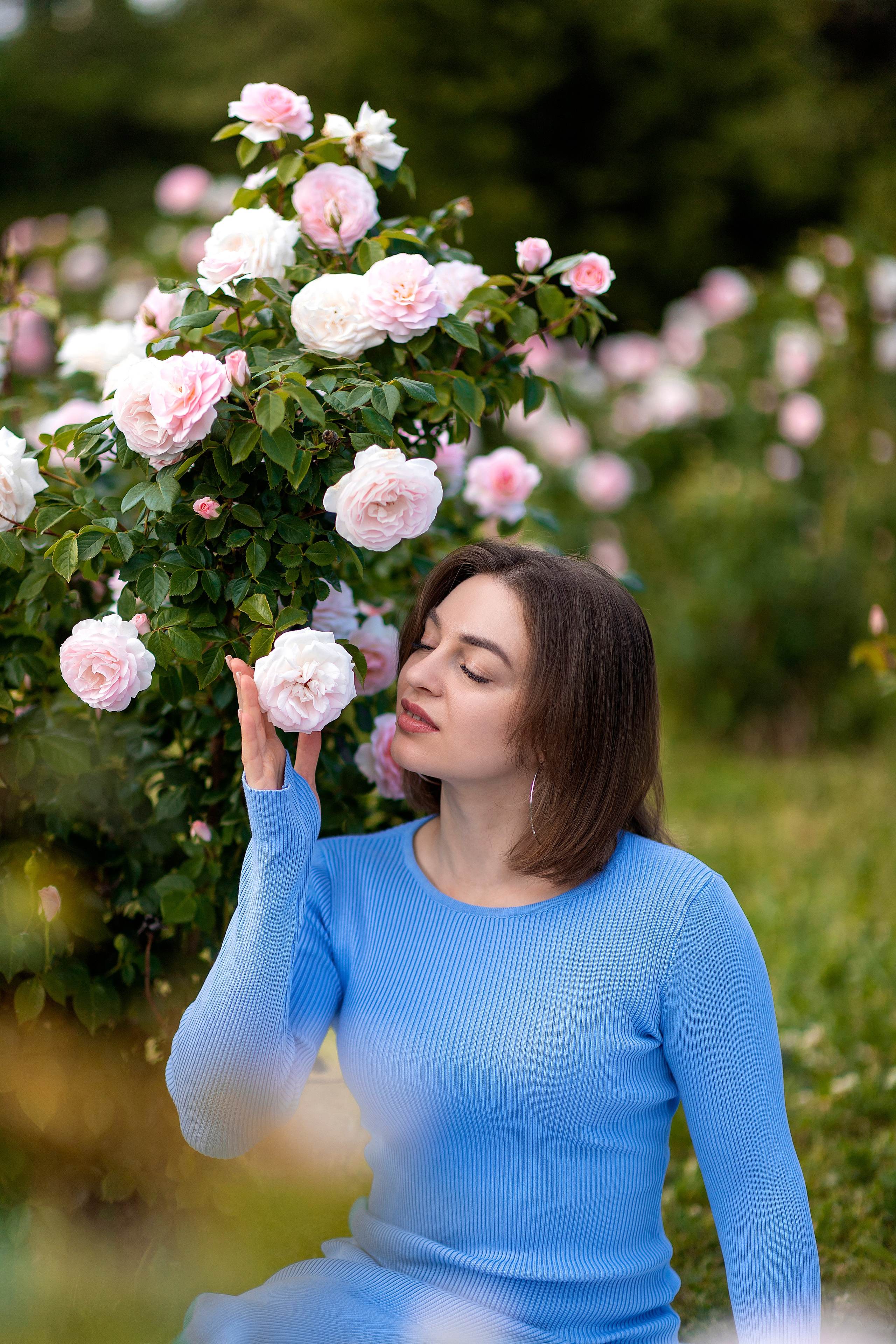 Сад роз. Настасья Перова Фотограф