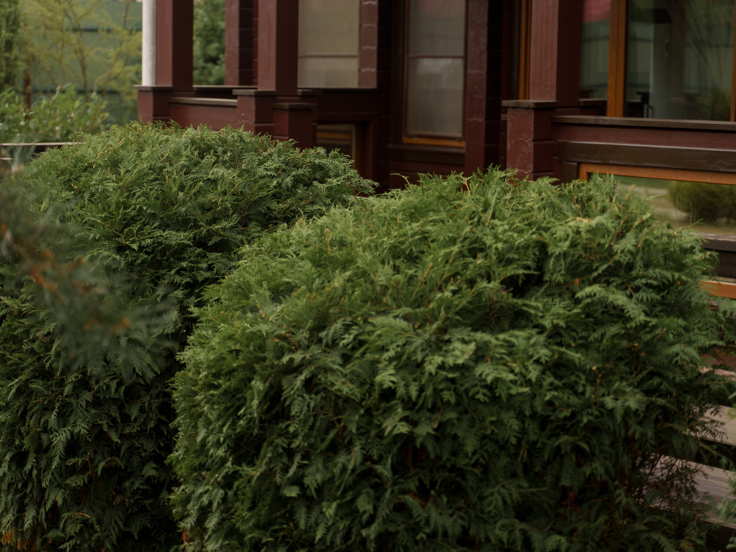 A&D PARTY. Свадебный и семейный фотограф Диана Лбова. Чебоксары