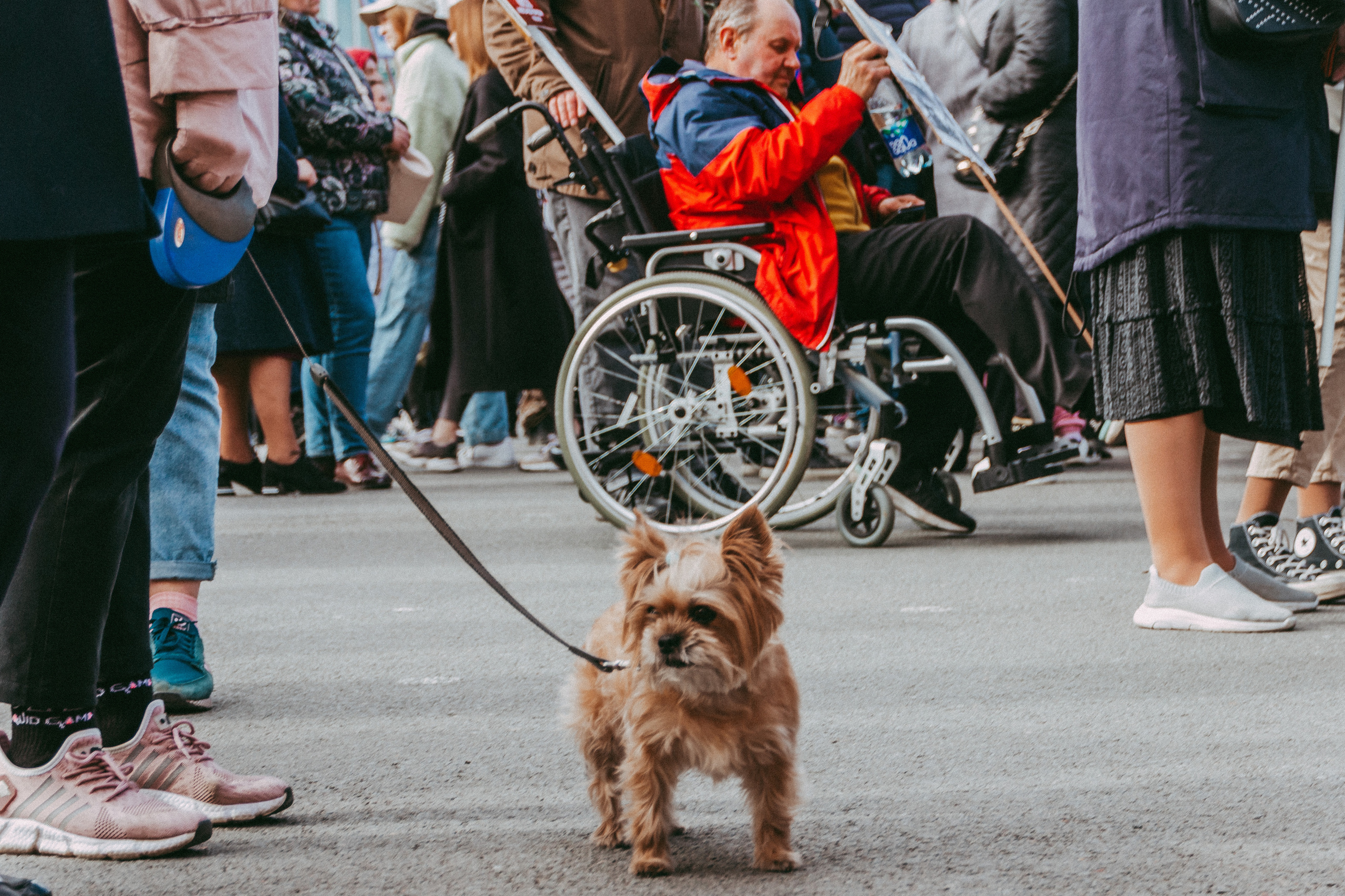 Я очень люблю фотографировать репортаж, наконец-то мы дожили до 9 мая. Семейный, Детский, Репортажный фотограф в Санкт-Петербурге Погодина Лю