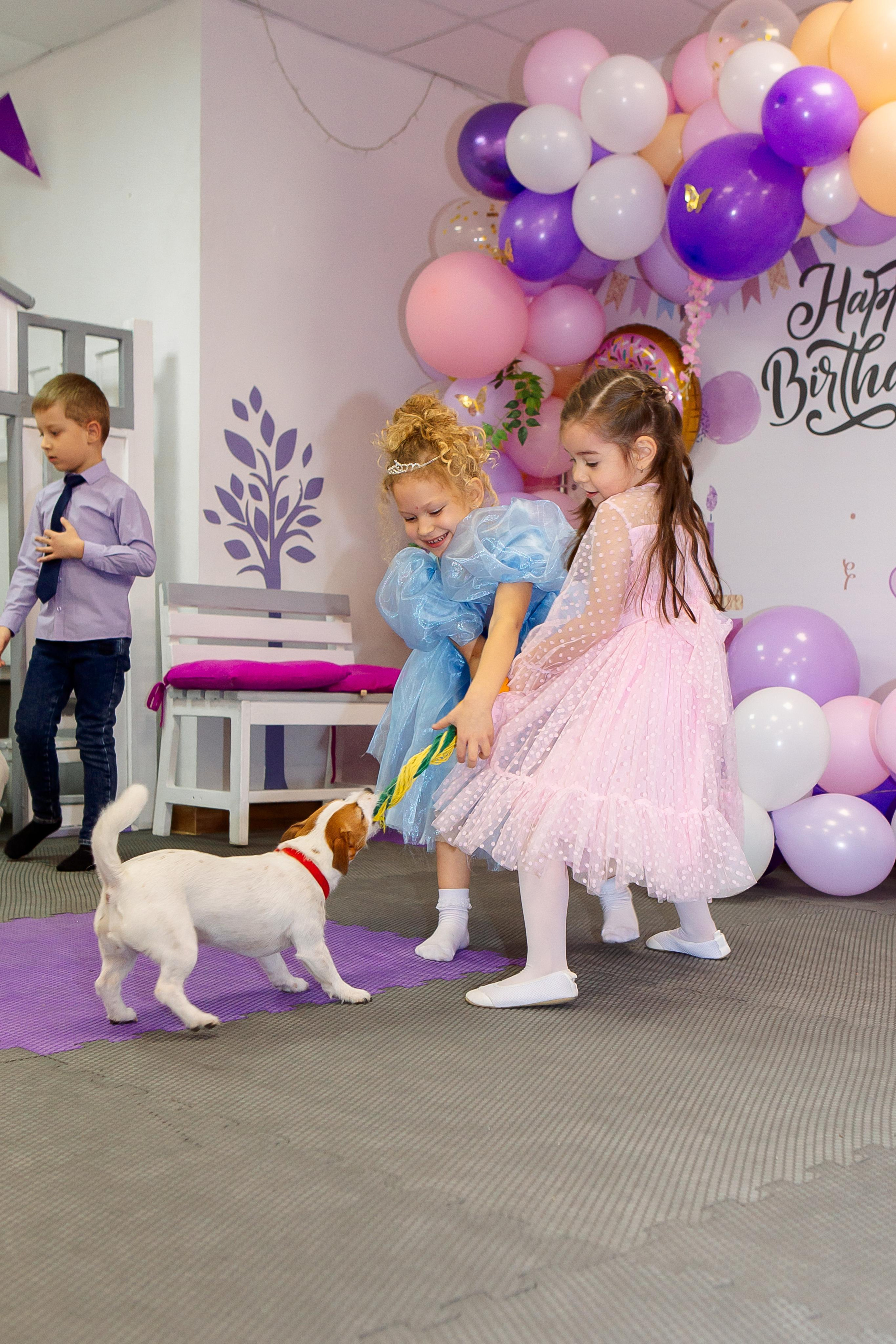 Иллария и Валерия в dana kids. Семейный детский фотограф. Фотосессия в Минске