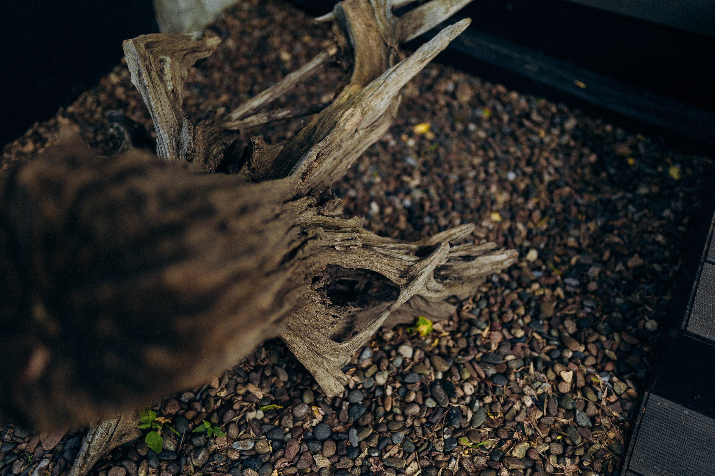 Михаил и Екатерина. Свадебный и семейный фотограф в Красноярске Анастасия Турчанова