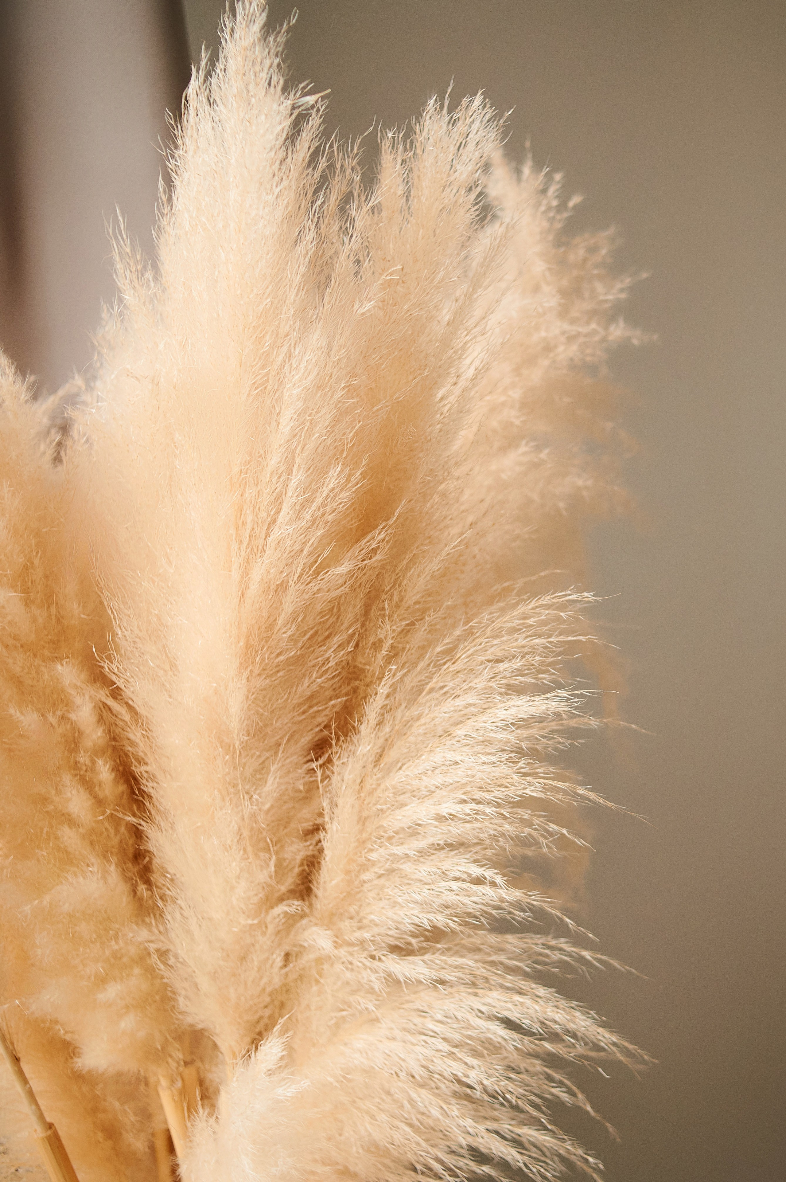 ***. Семейный и детский фотограф в г. Ногинске Ангелина Хасанова