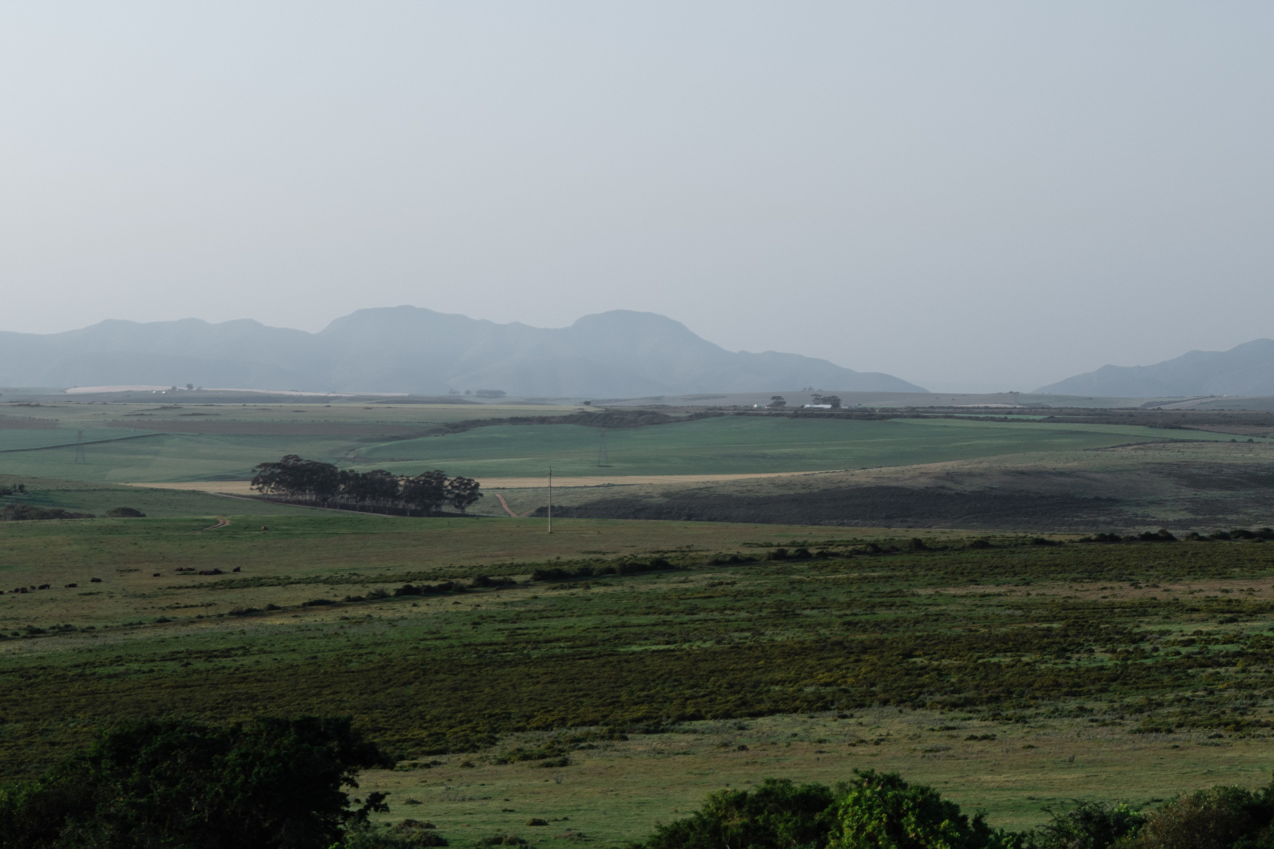 Africa/UAR. @oljiofilm: Олег Иванов — фотограф