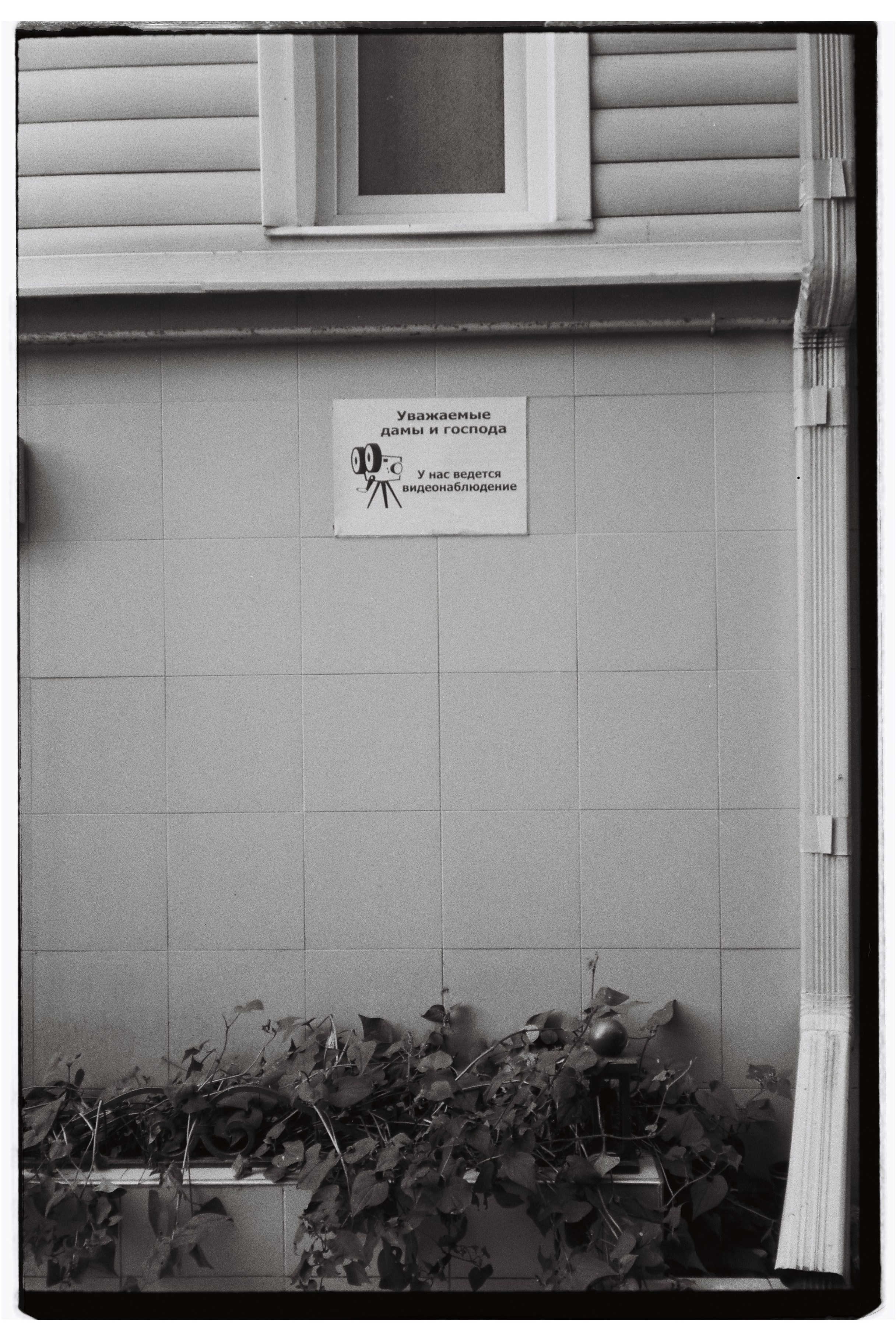 Пленочная фотография. ТАТИ | Татьяна Тихонова | фотограф | Тольятти Самара