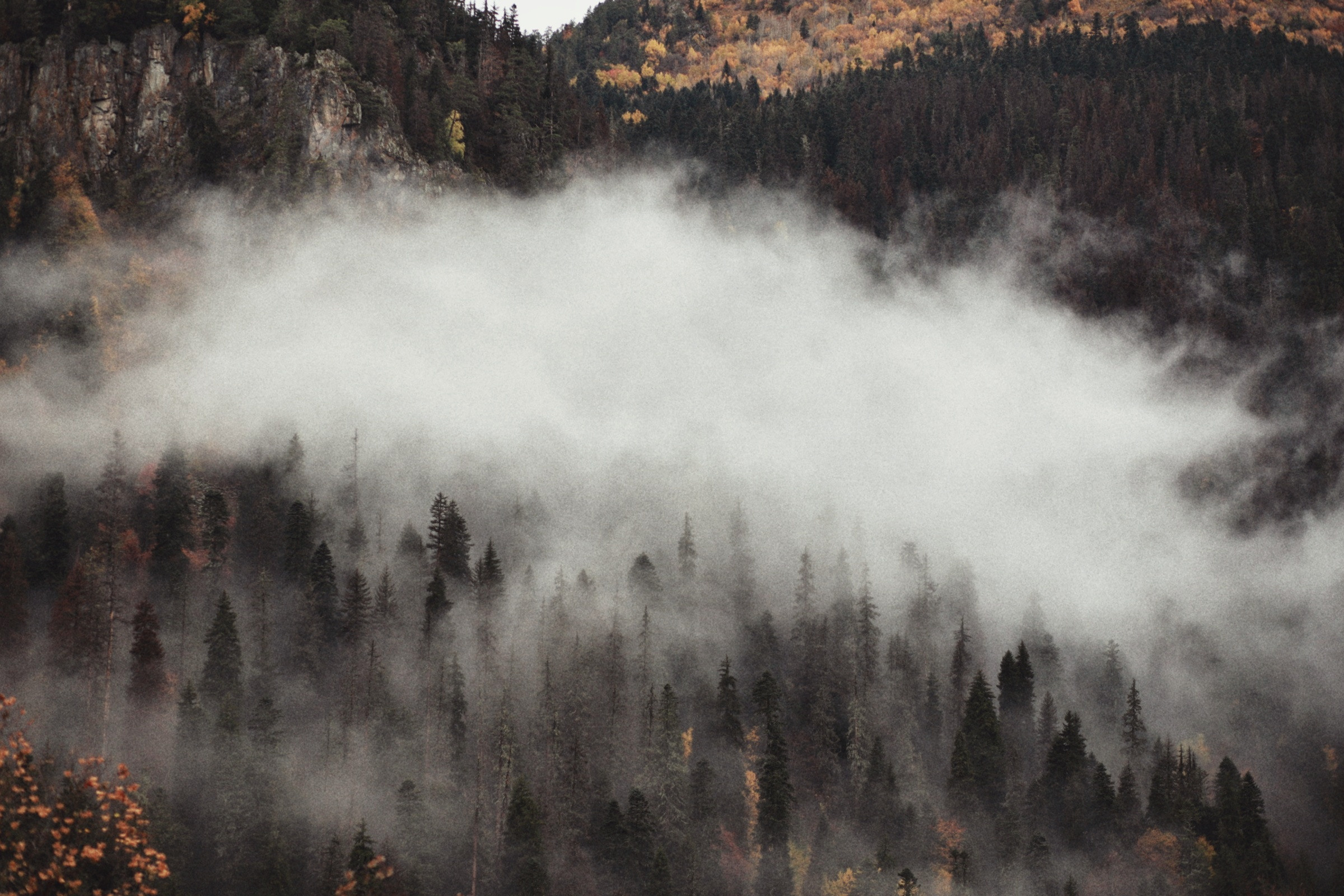 Фото-Туры. Свадебный и семейный фотограф в Екатеринбурге Михаил Лежнев