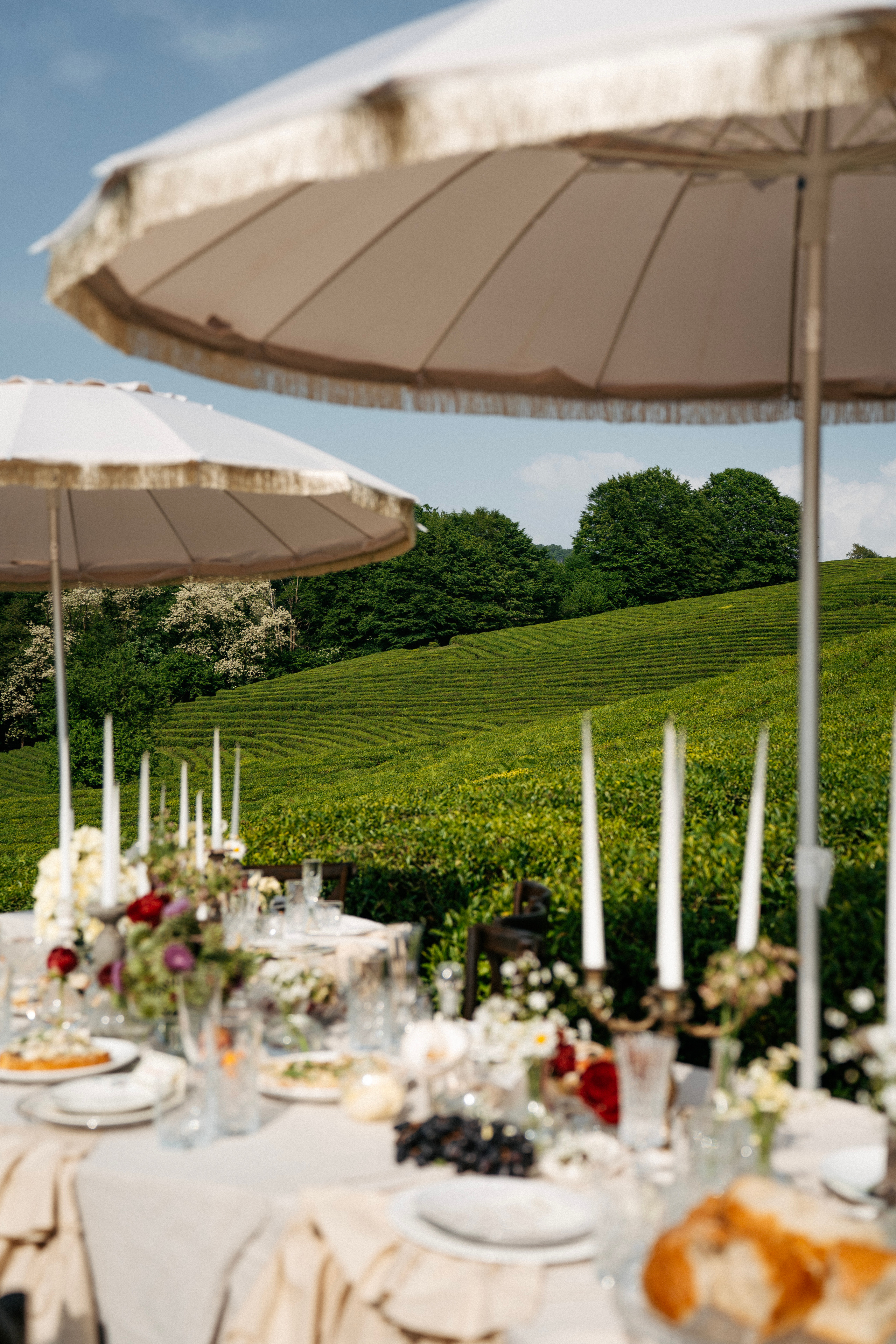 Apprezzo il momento. Беккер Таня