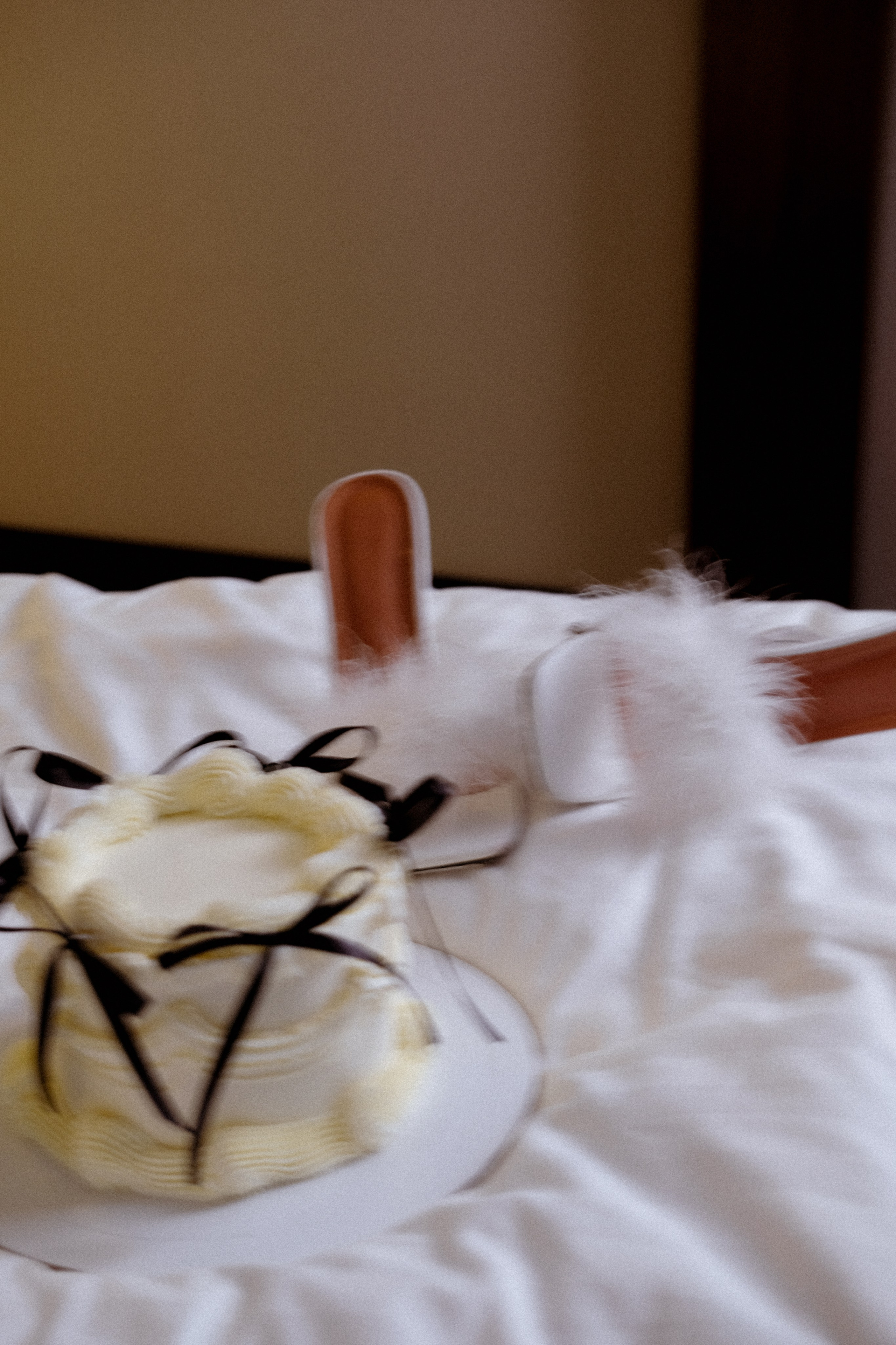 Яна и Михаил. Фотограф Саранск Ирина Шишкина, все виды съемок