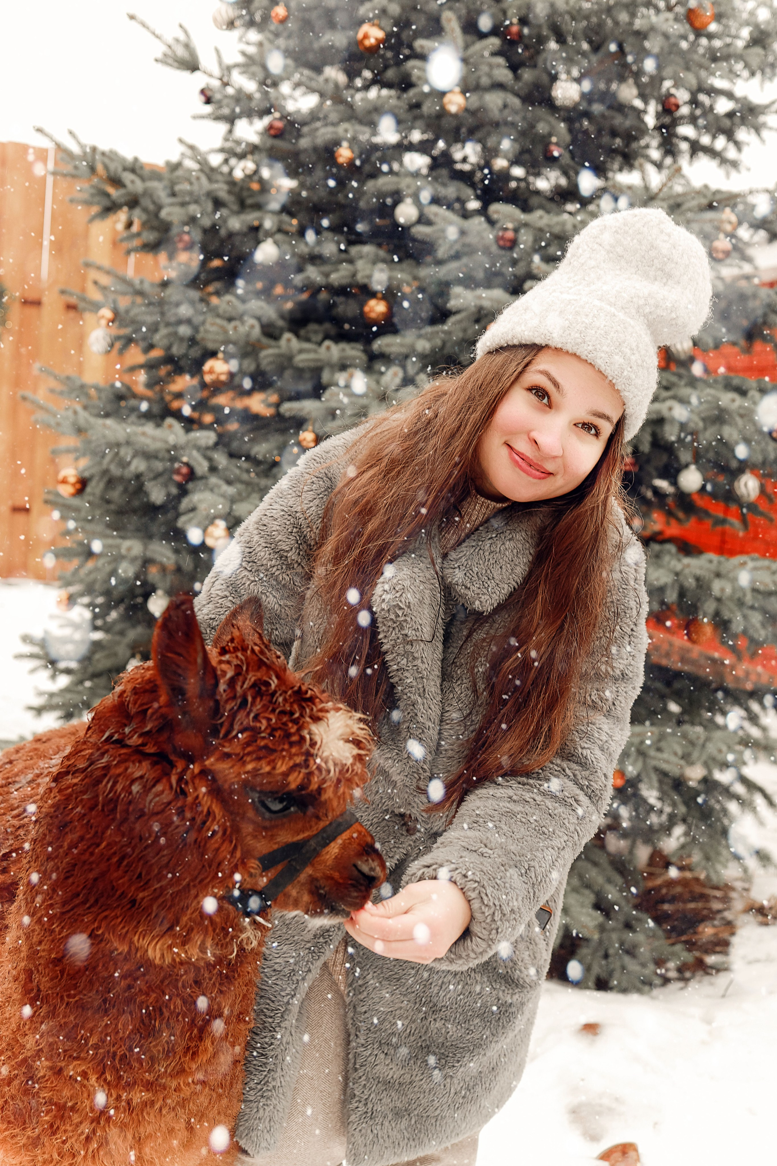 Фотосессия с Альпакой. Иванова Ирина Свадебный и семейный фотограф г. Уфа