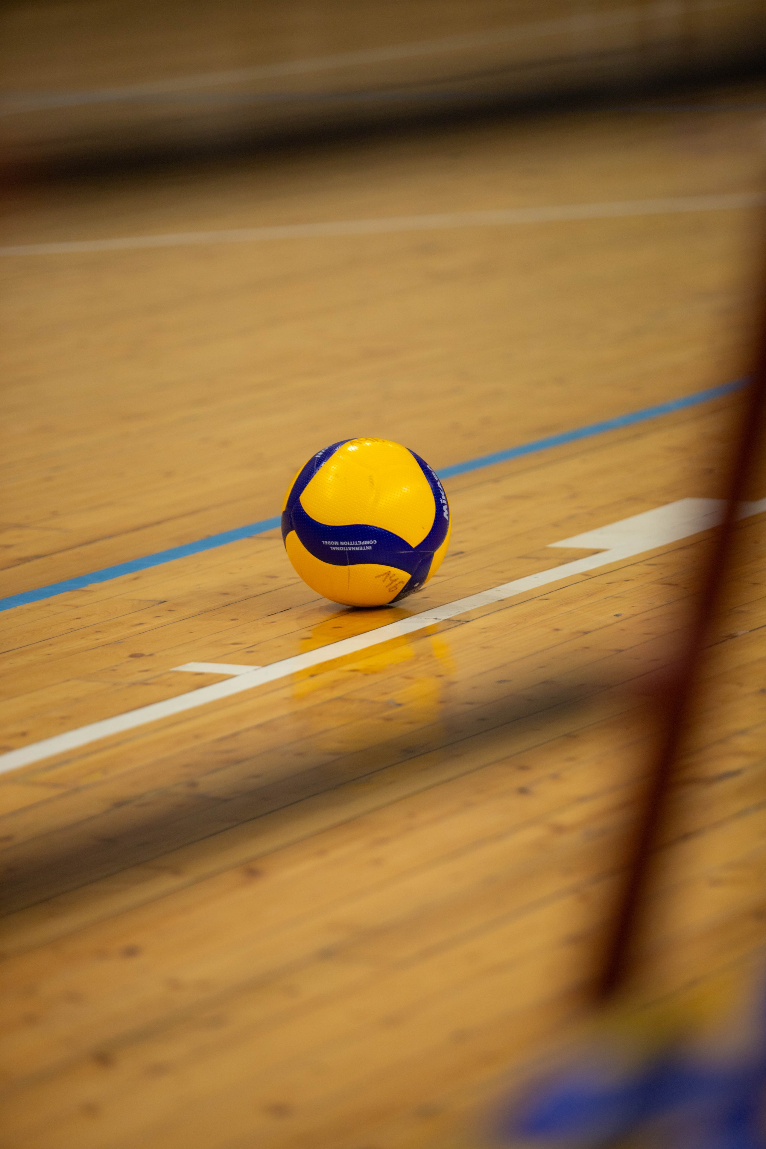 Лига чемпионов бизнеса ВОЛЕЙБОЛ. Александра Мельниченко/ Бегающий фотограф