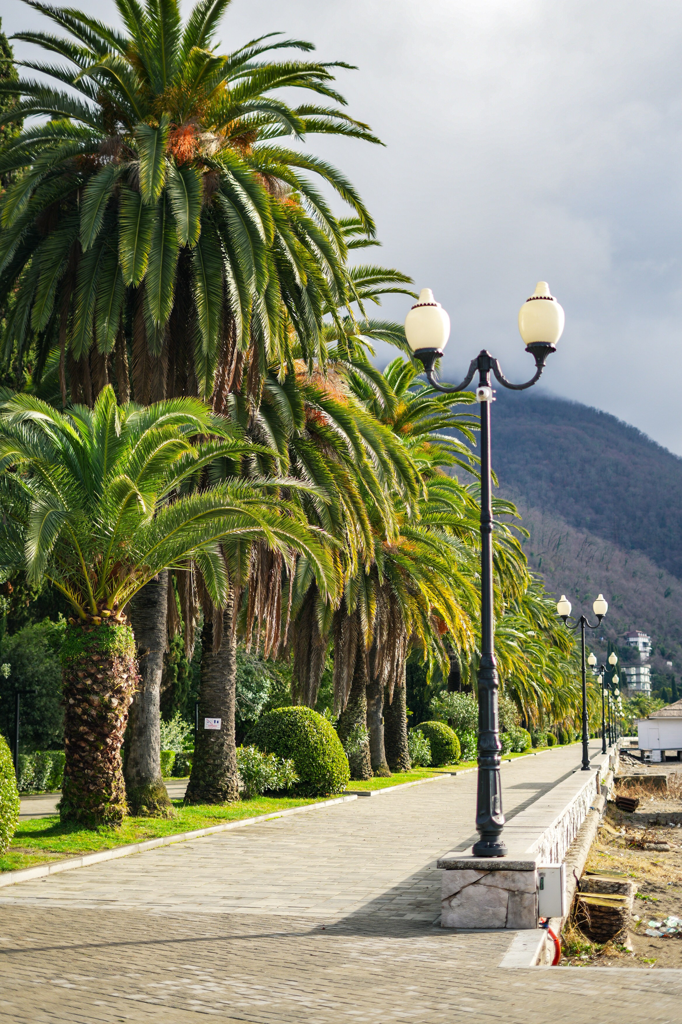 Абхазия открытки. Главная