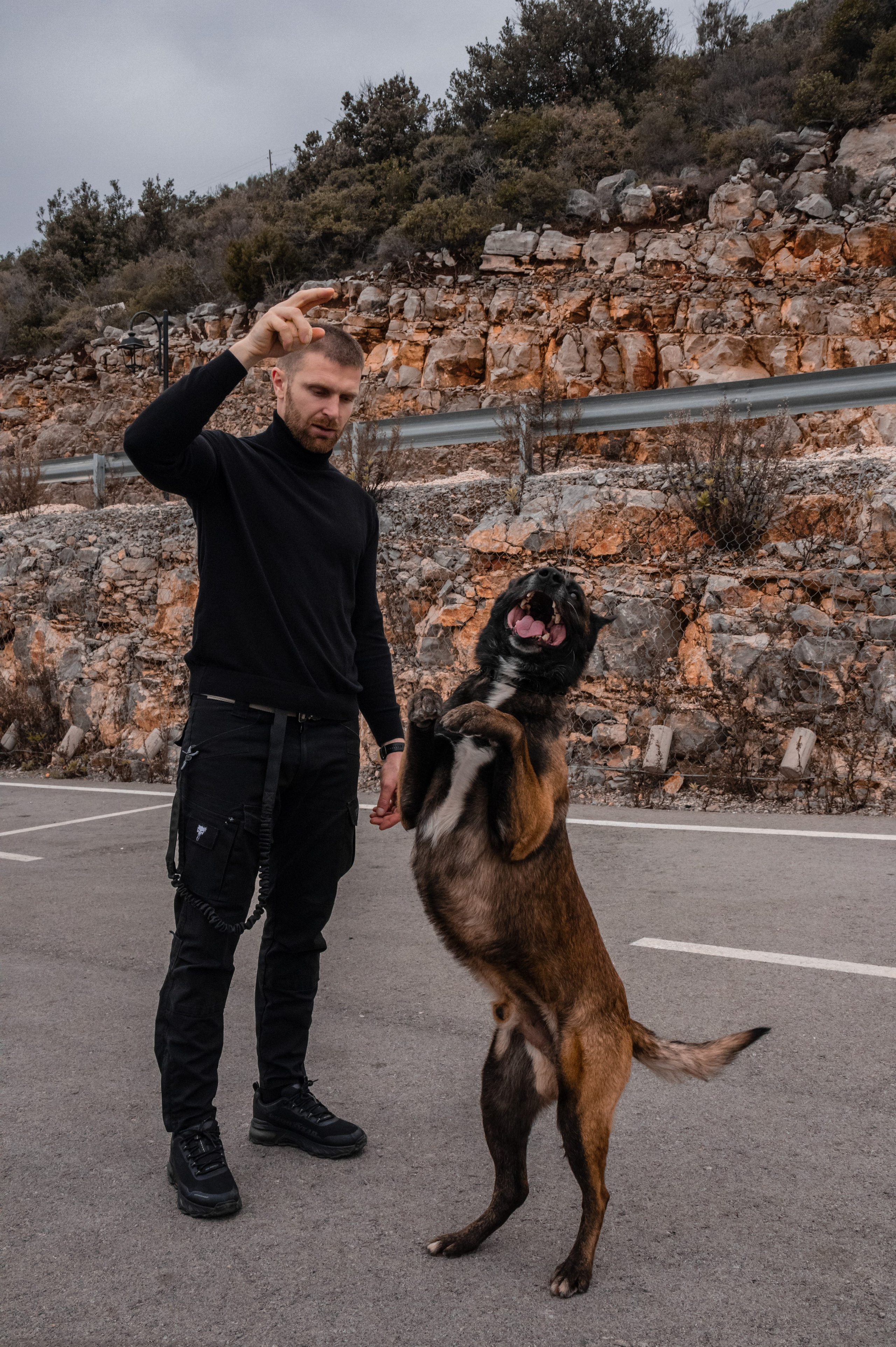 Photoshoot with a dog in Montenegro. Portrait photographer in Tivat Montenegro Katerina Kirsanova