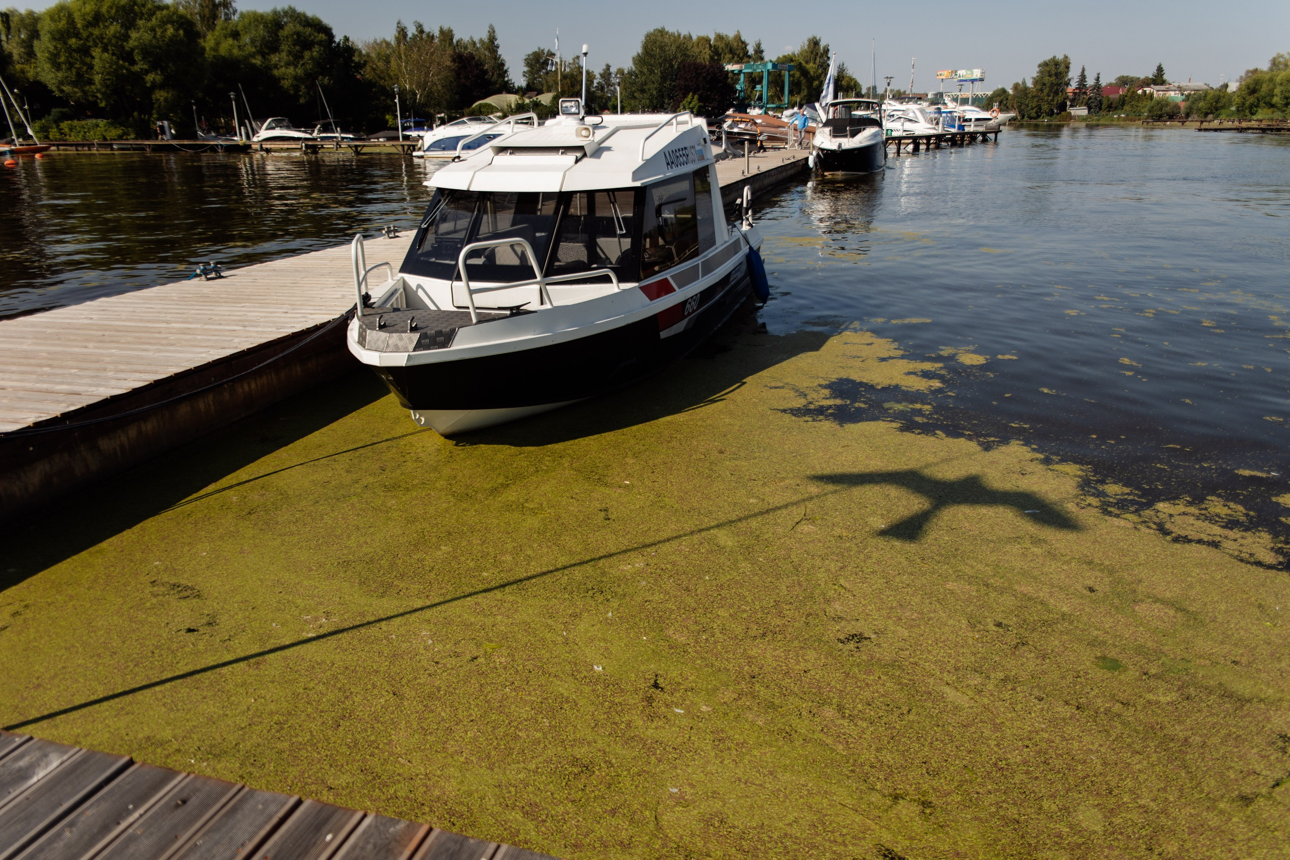 Корпоративный репортаж. Репортажный фотограф. Москва. Алина Ланская