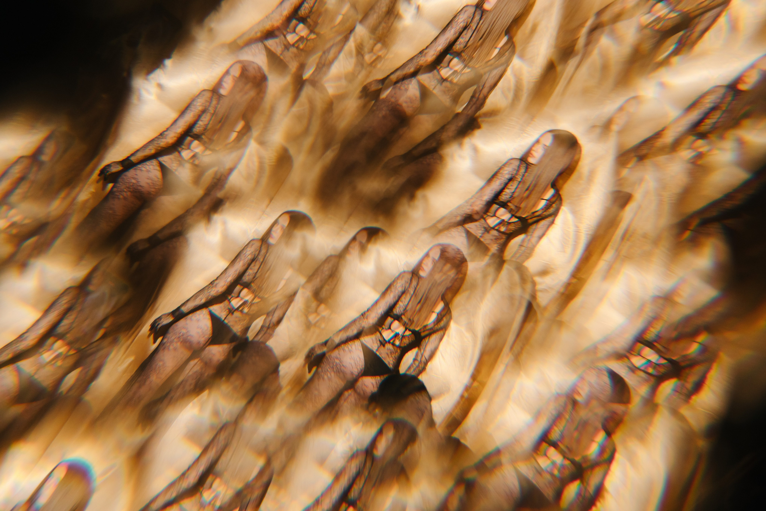 Studio | Катерина