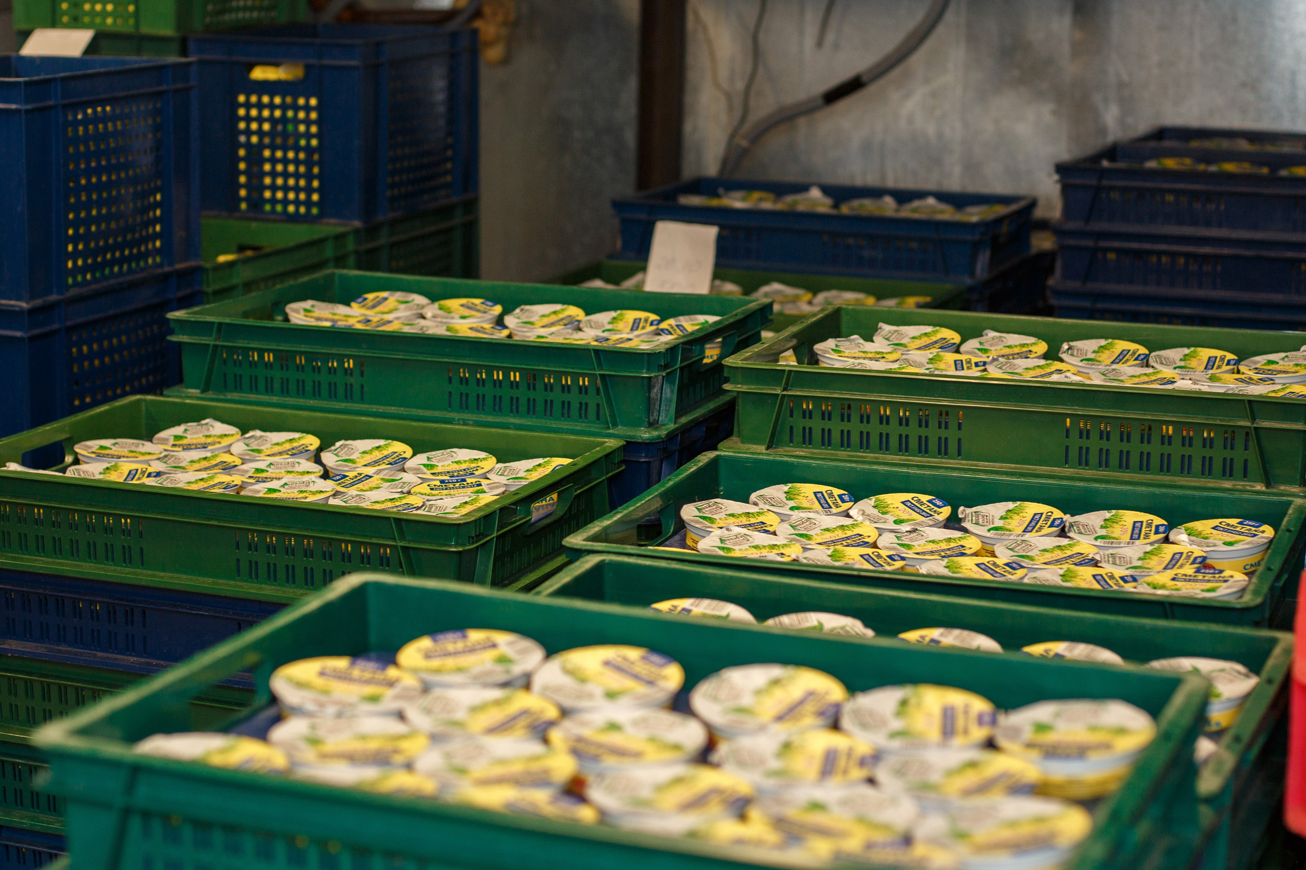 Шатурский Агропромышленный комбинат. Деловая и Бизнес съемка в  Москве Инесса Грушко