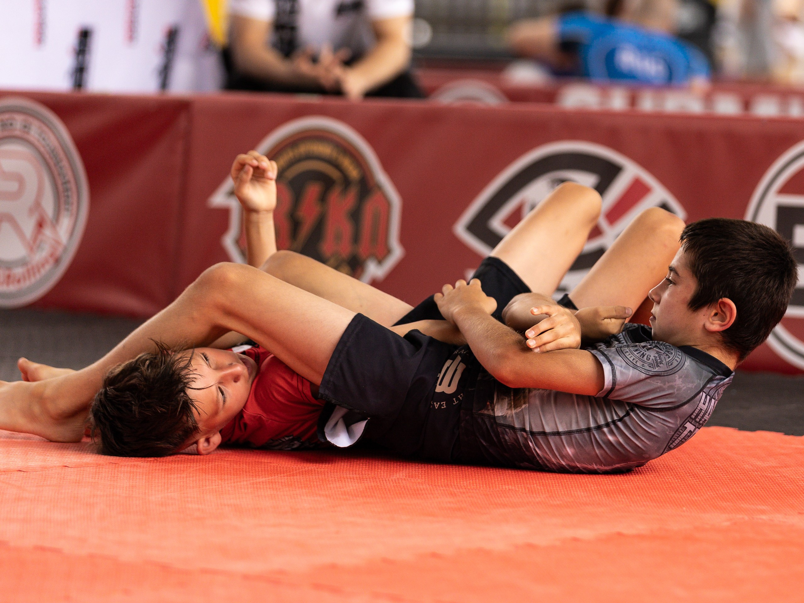 Единоборства. Спортивный фотограф Фёдоров Александр