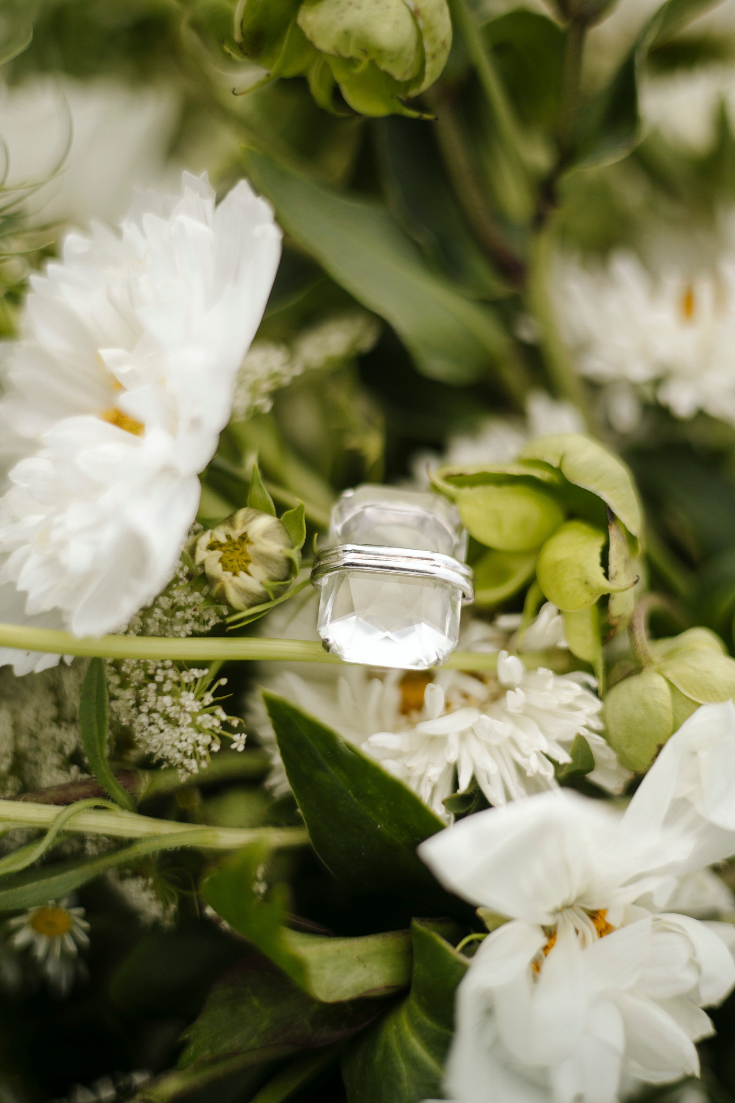 Артём и Вероника pine river. Nikolpinhasova