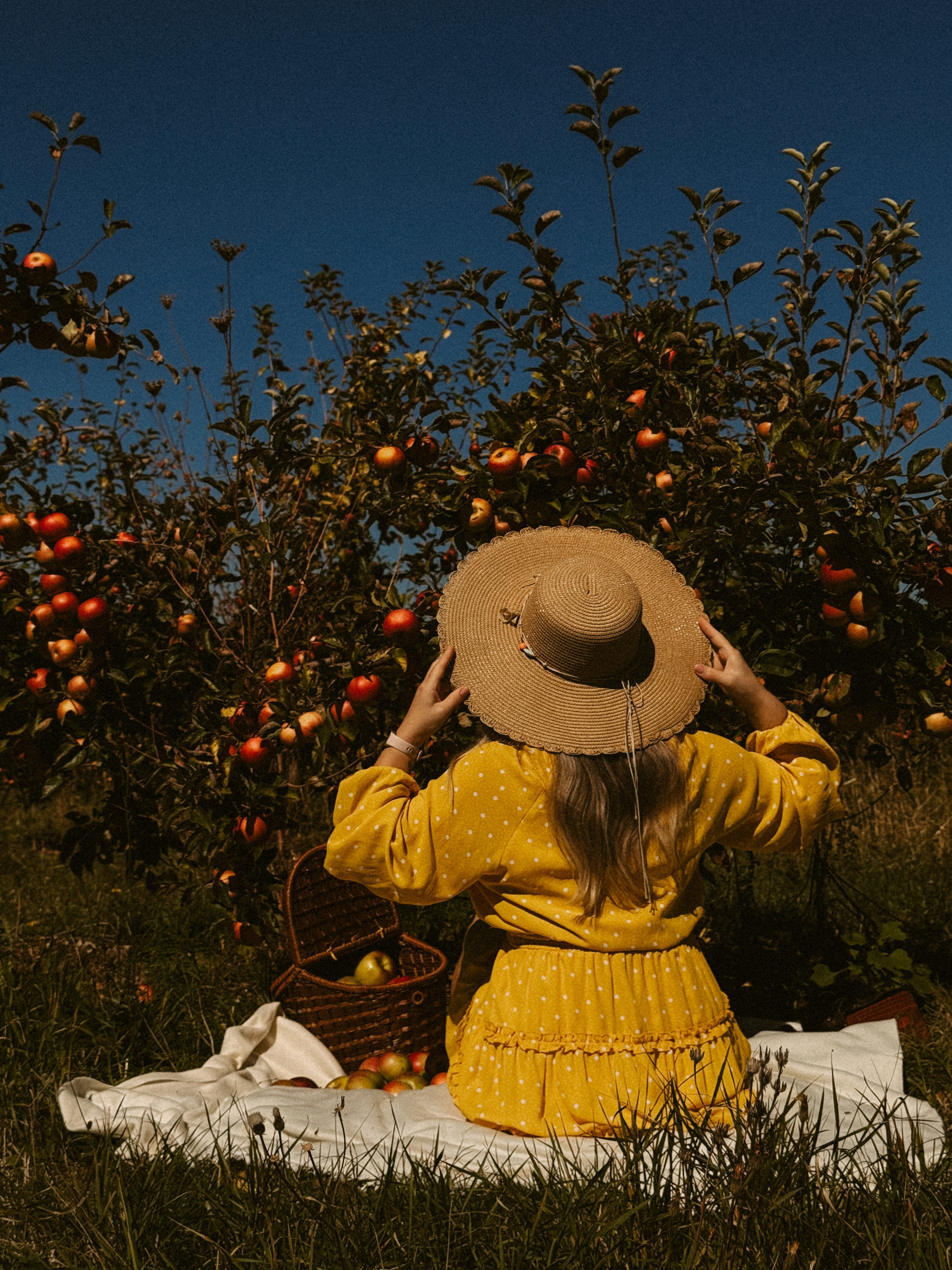 Ксюша Яблоки Сад. Inga Simonova | Семейный и детский фотограф у моря