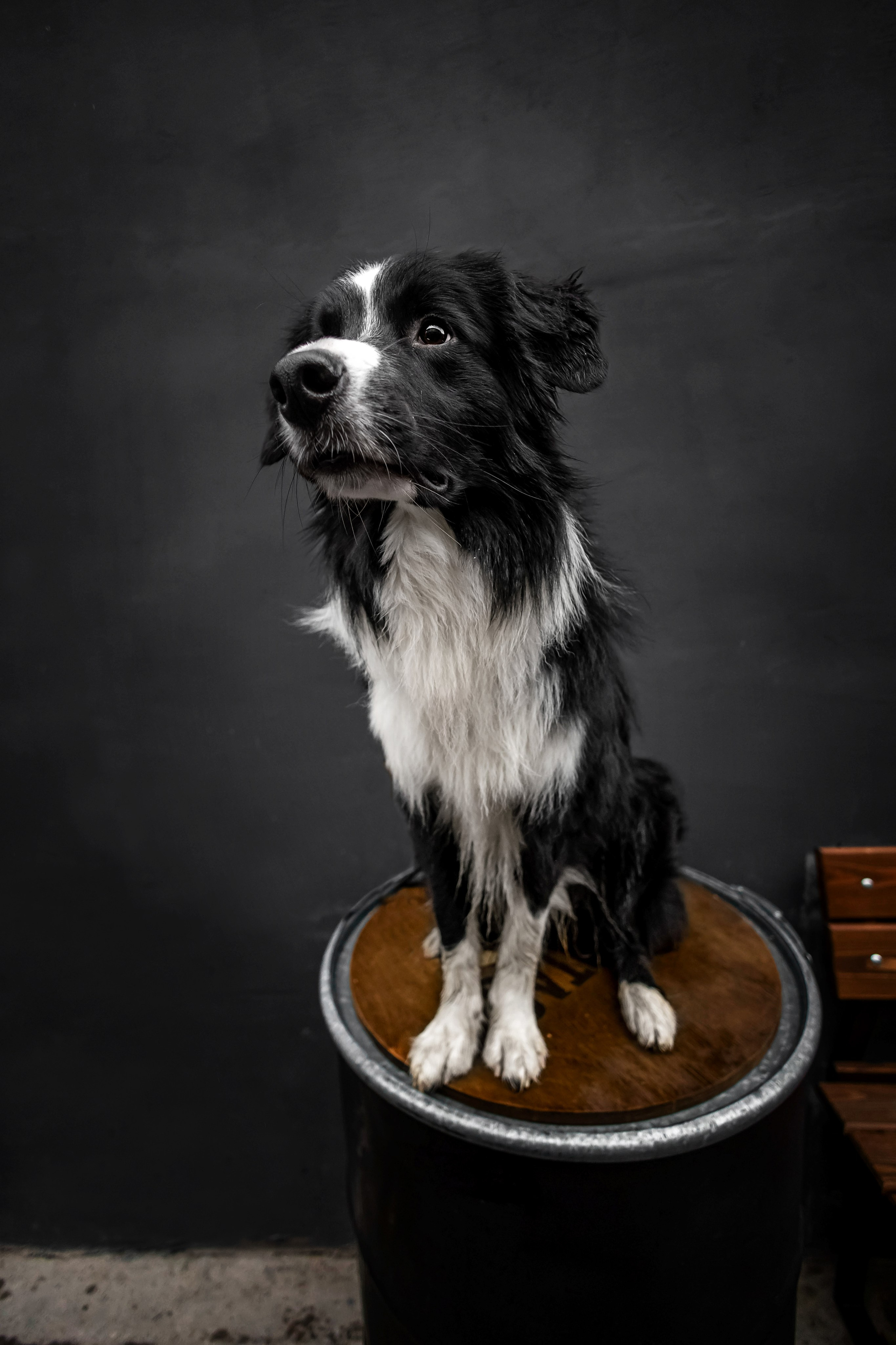 Мария и Пампкин. Https://moshkovaphoto.ru/