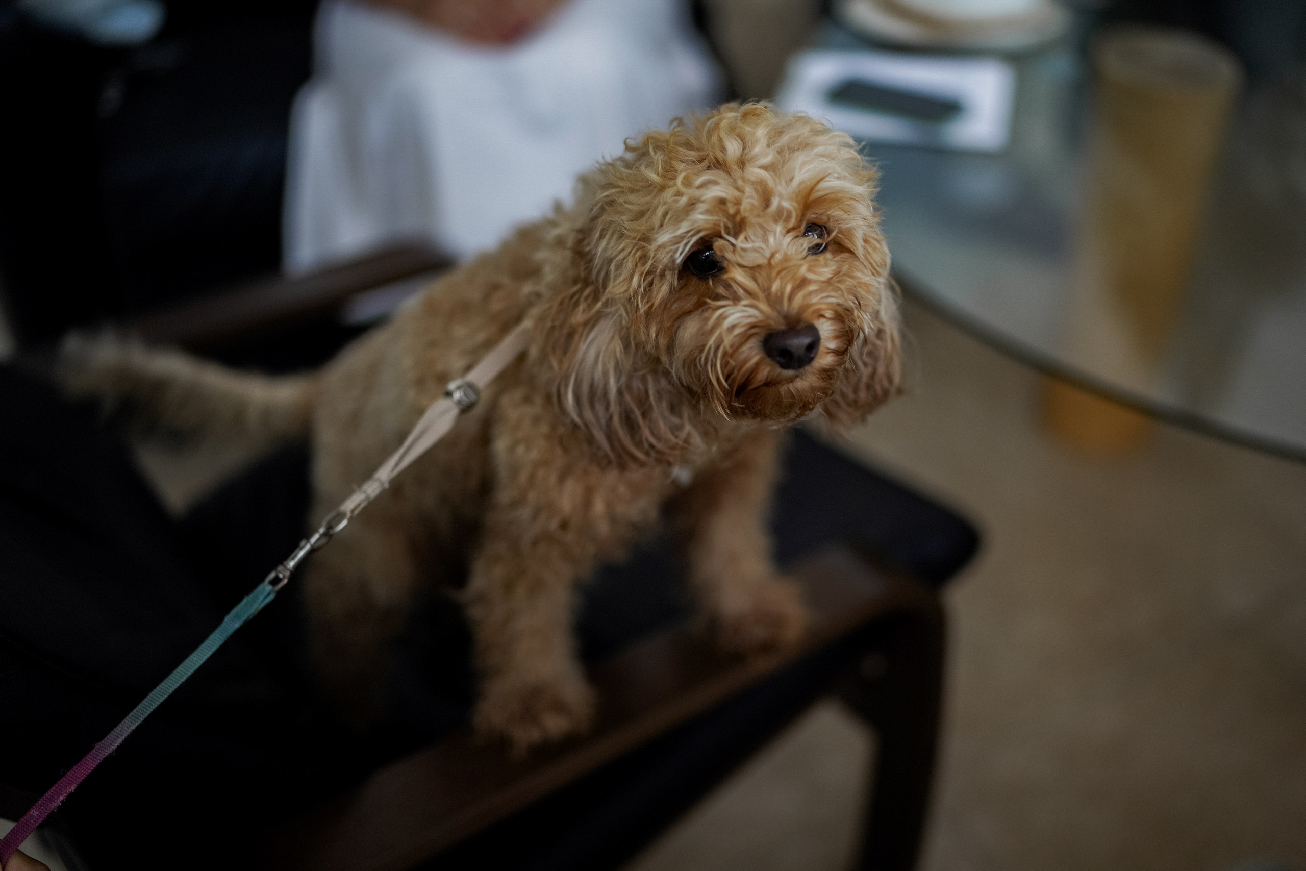 Дима и Юля. Фотограф Саид Дакаев г. Краснодар