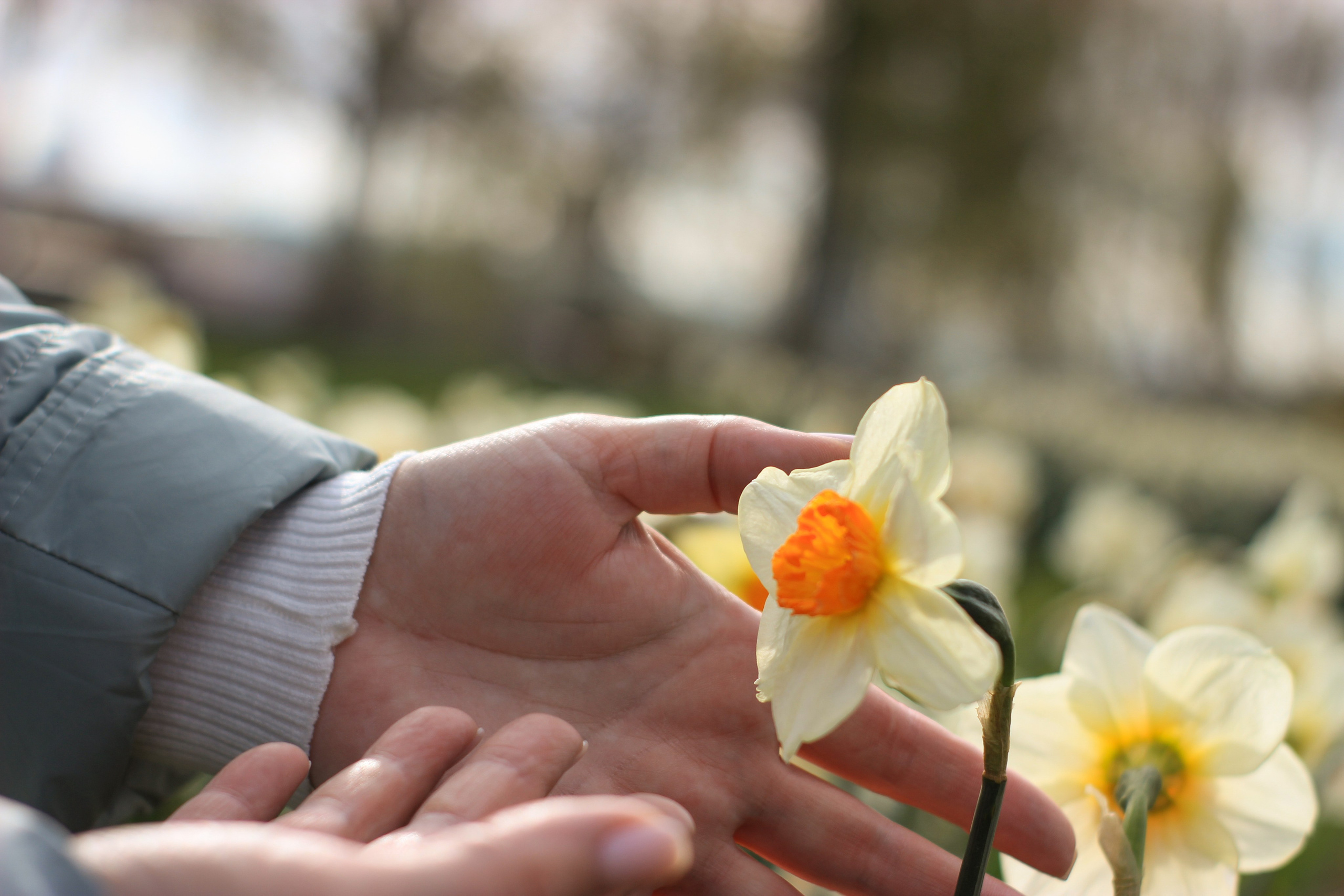 Прогулочные фотосессии. Фотограф Ольга Южная / Екатеринбург