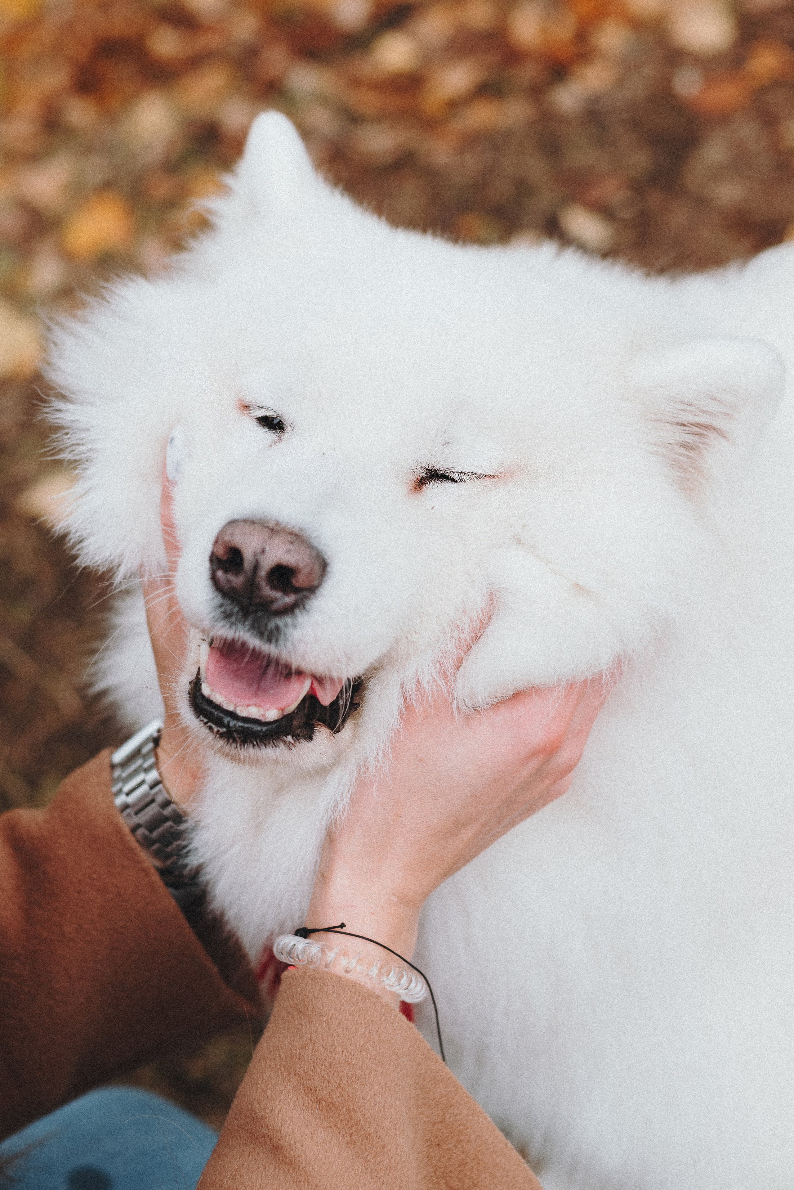 Valya & Varya. Natalia Finch Photography — Family, Kids & Pet Photographer in Chicago, IL