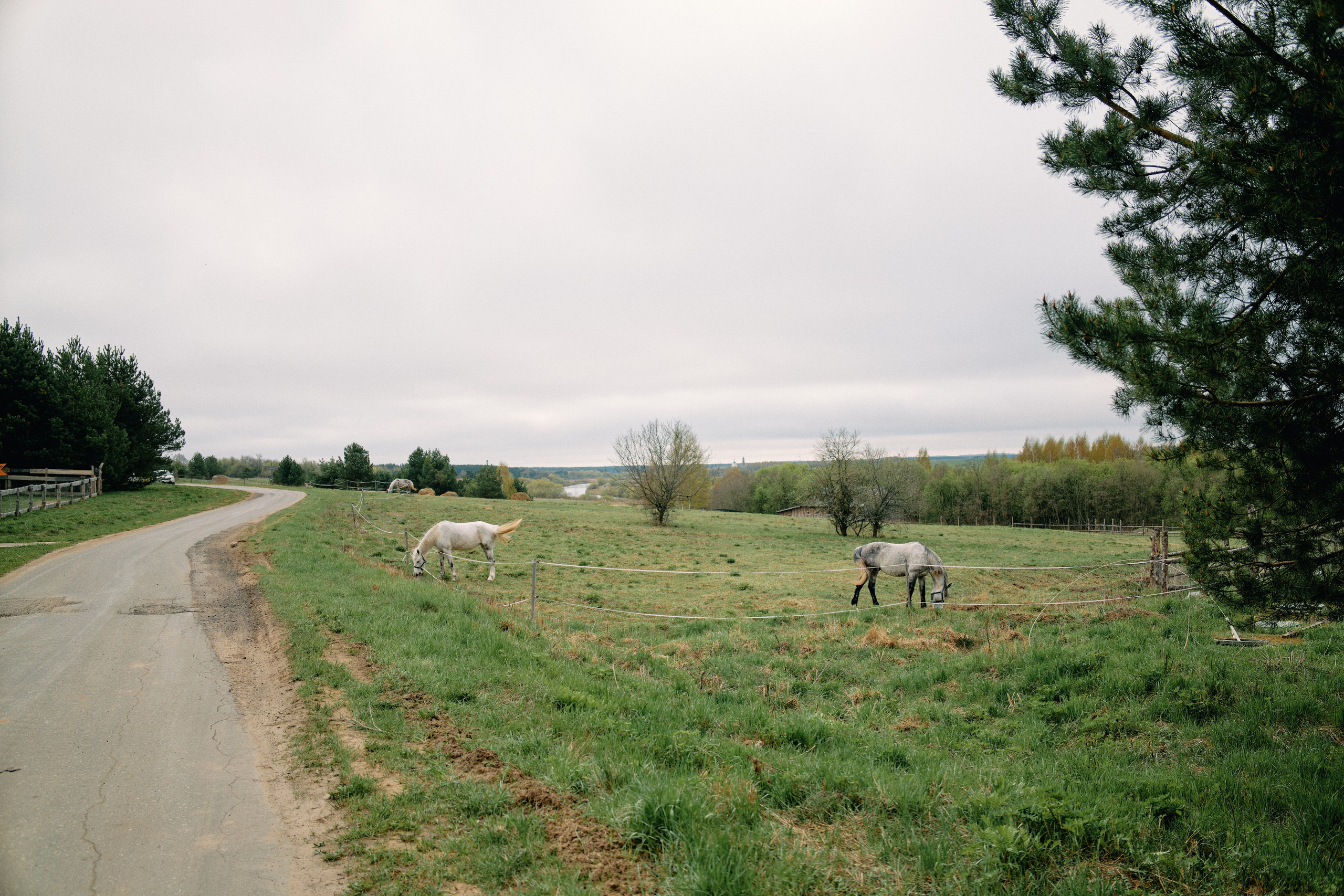 Бутик-отель Поле летом. Профессиональный Фотограф во Владимире, в Москве и в Суздале — Полина Романычева