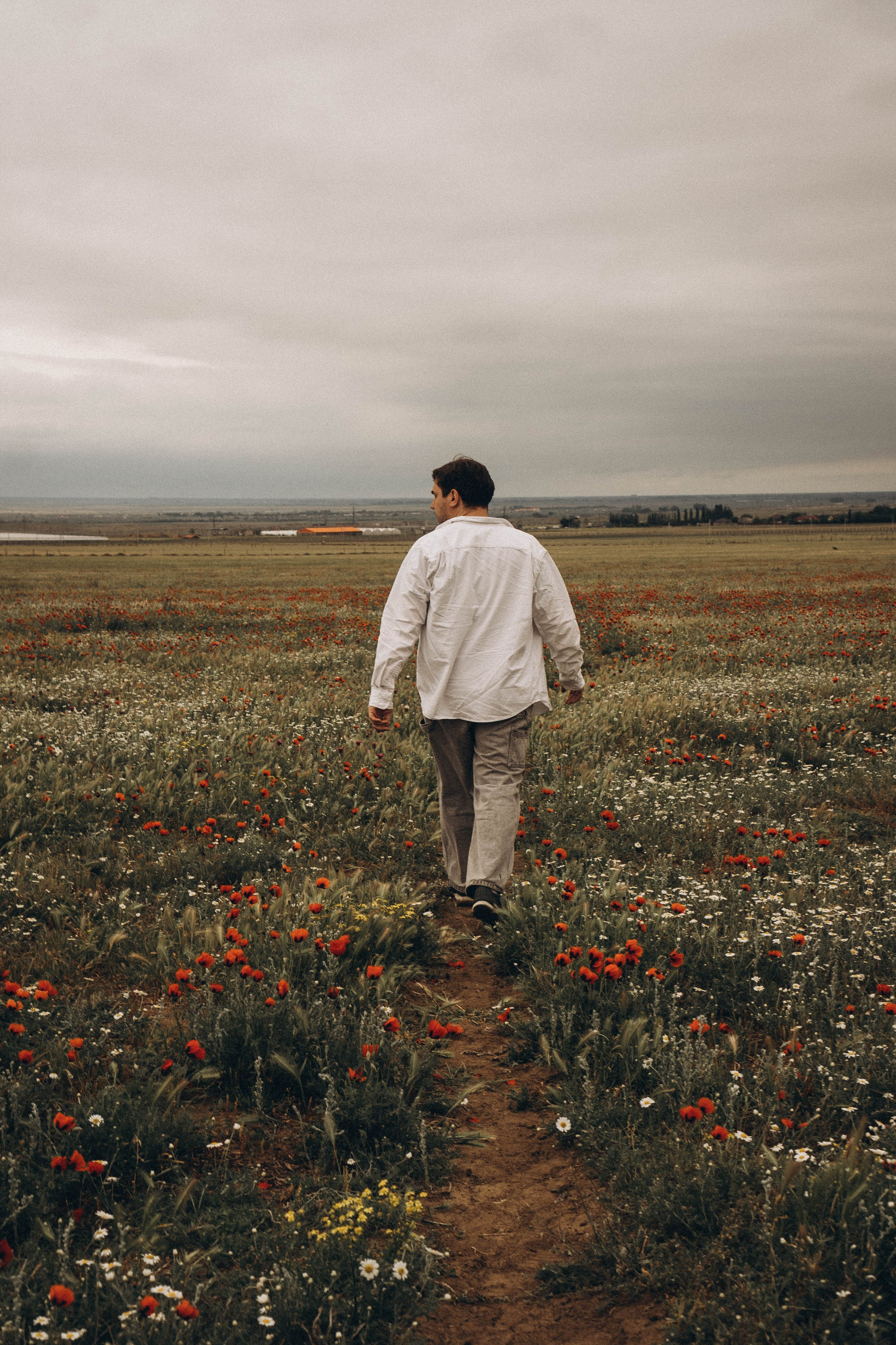Маки. Профессиональный фотограф, Санкт-Петербург — Виктория Богомолова