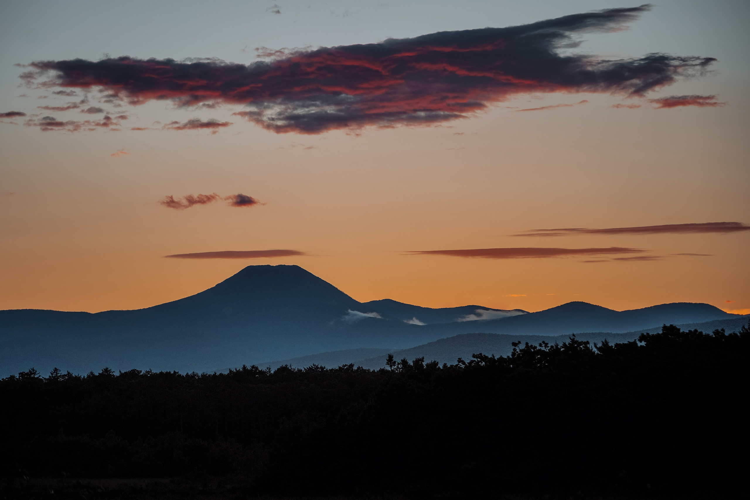 Сихотэ-Алинский заповедник, Приморский край. Репортажный фотограф в Крыму Ксения Гасица
